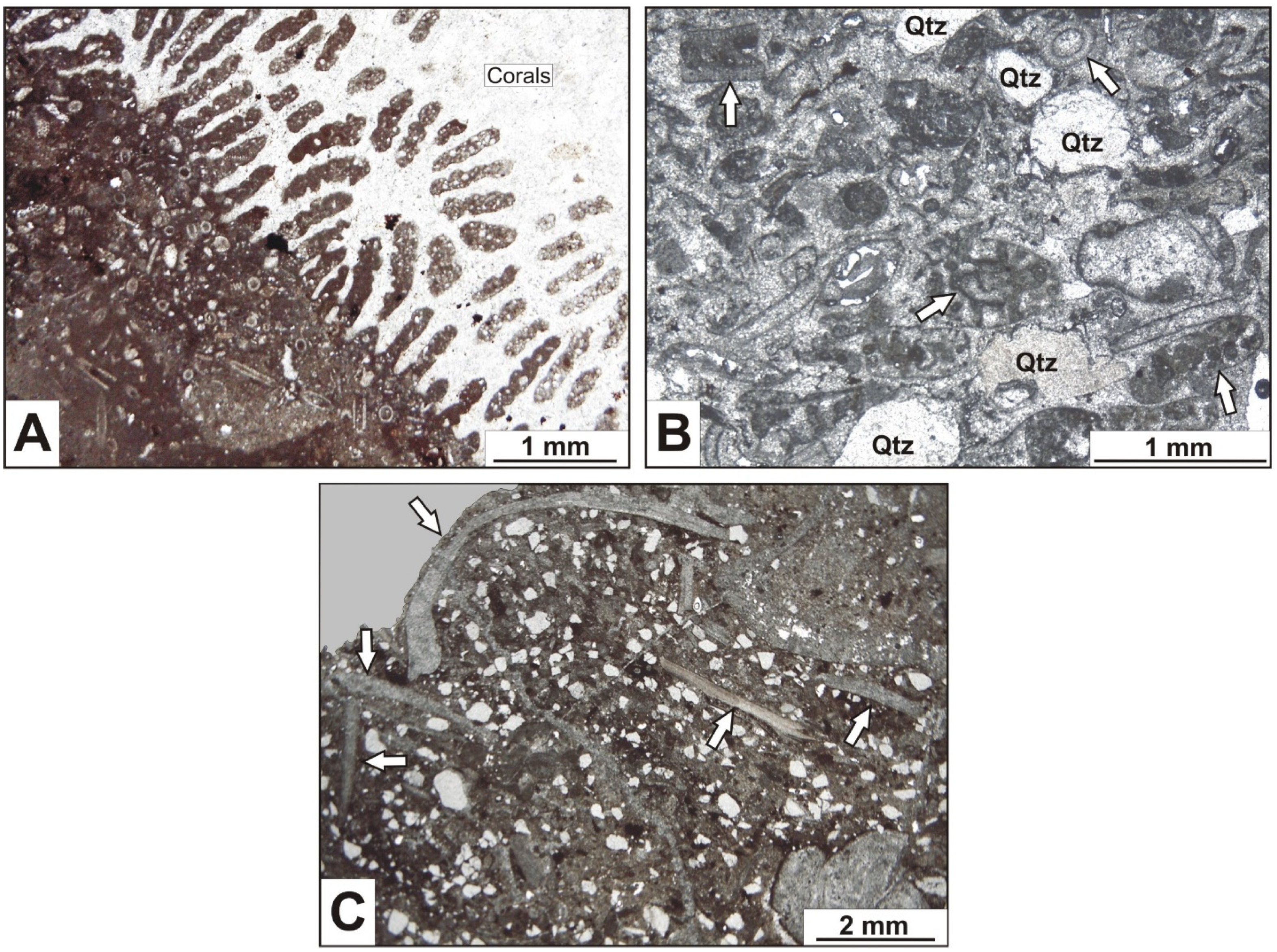 Geosciences 14 00352 g013