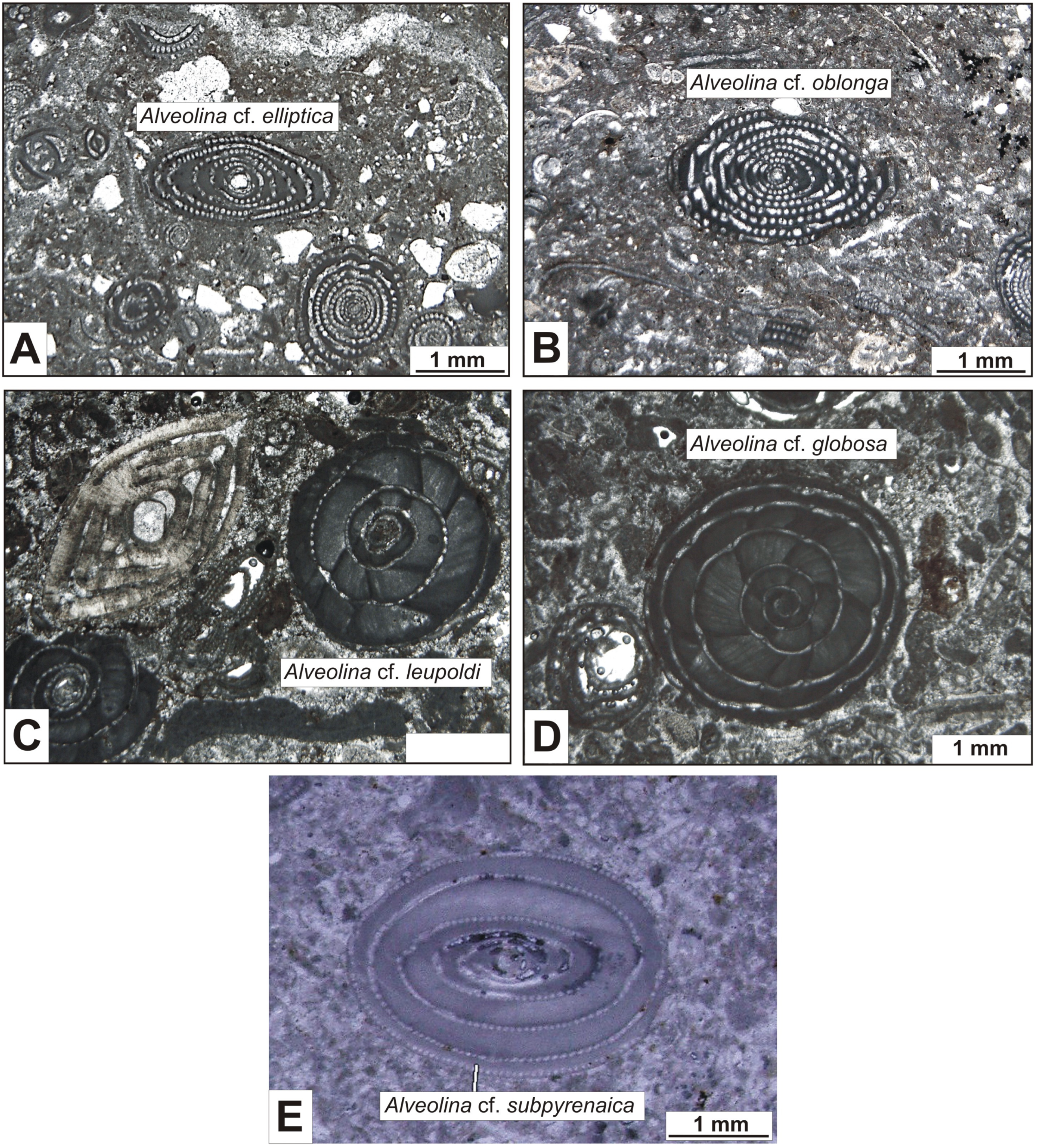 Geosciences 14 00352 g015