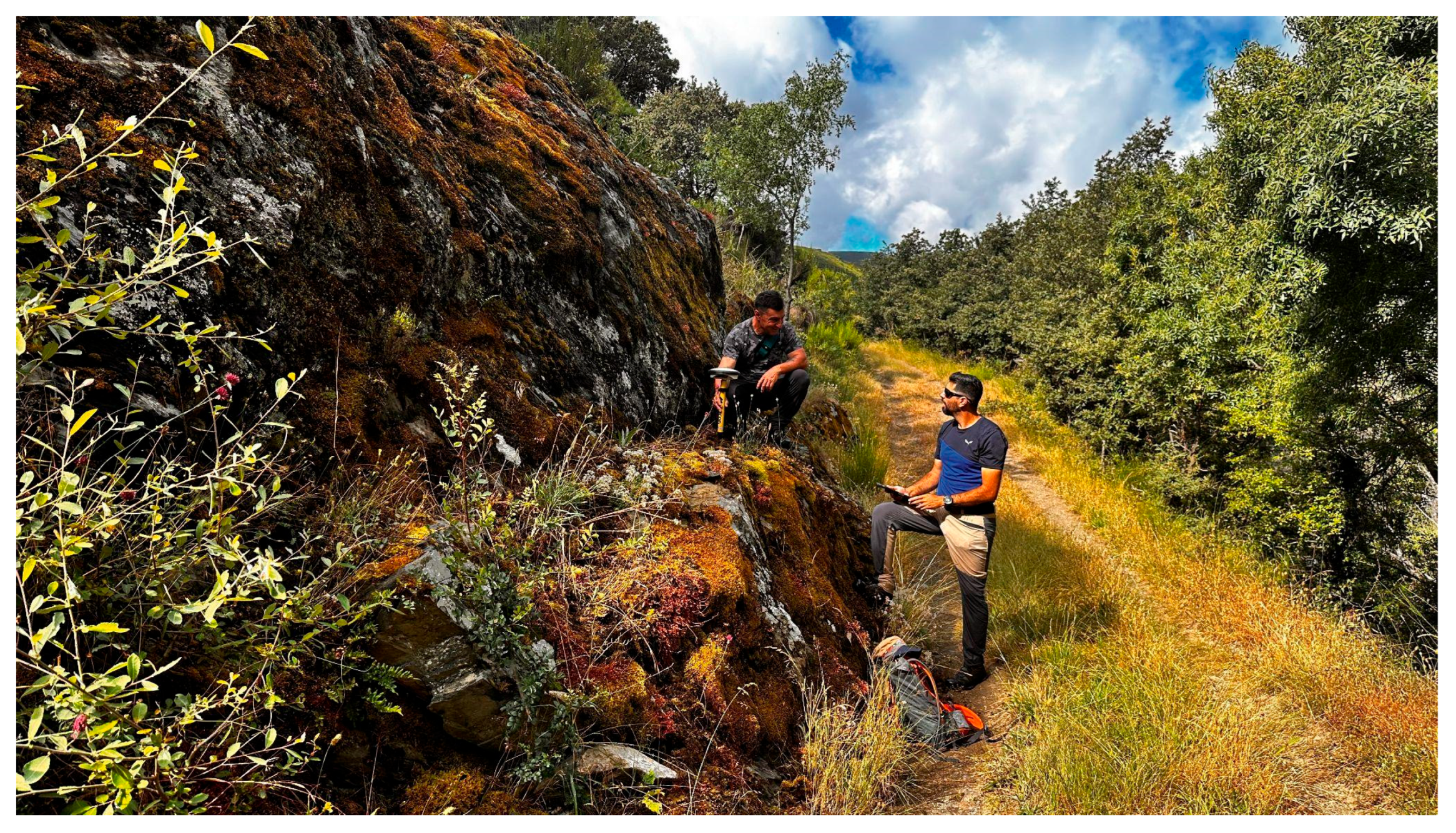 Geosciences 15 00013 g006