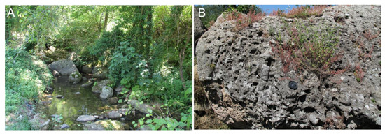 Geosciences 15 00025 g004