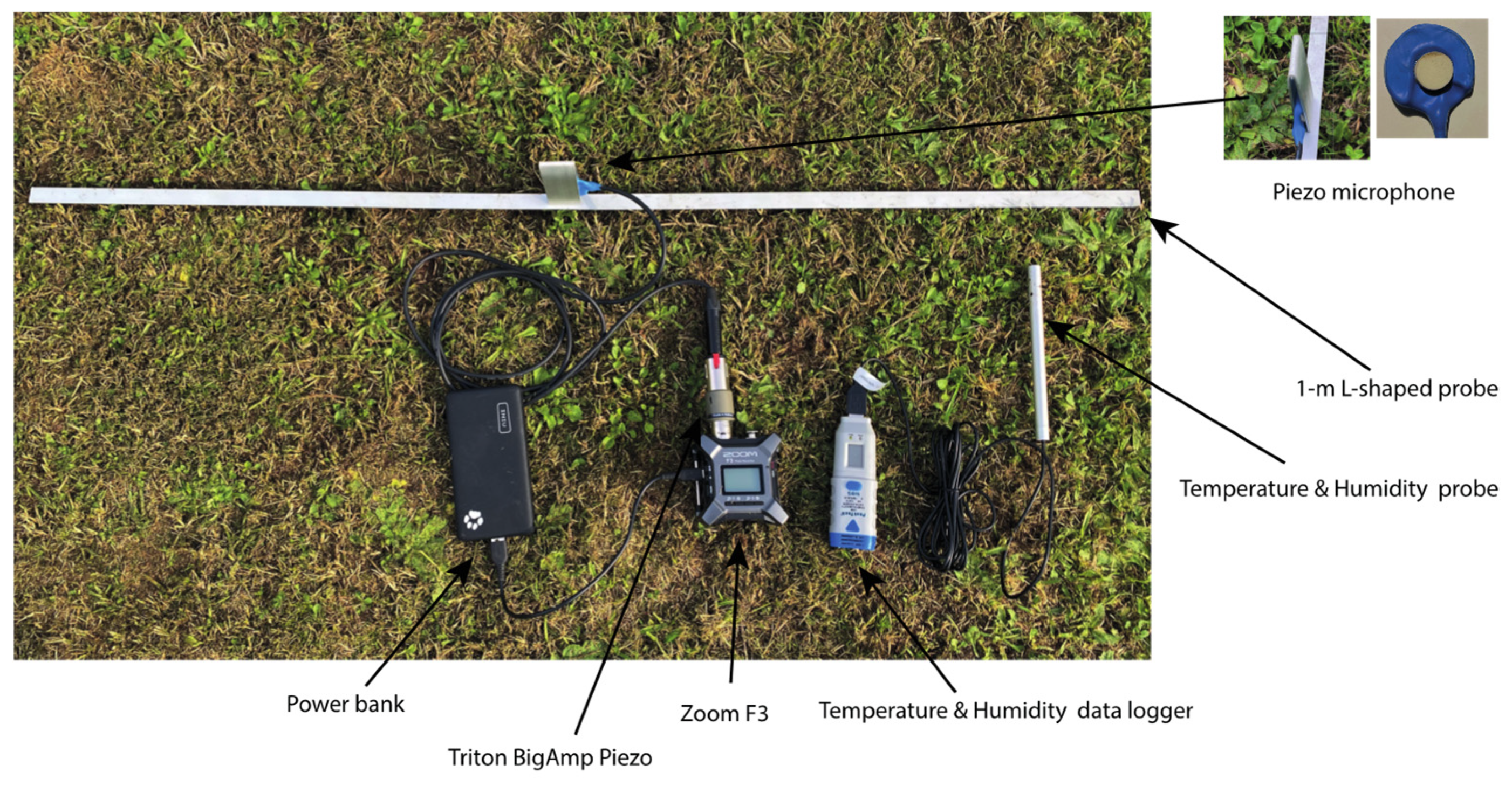 Geosciences 15 00034 g002