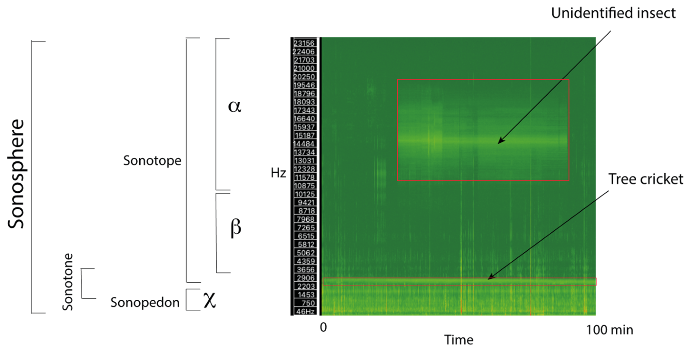 Geosciences 15 00034 g003