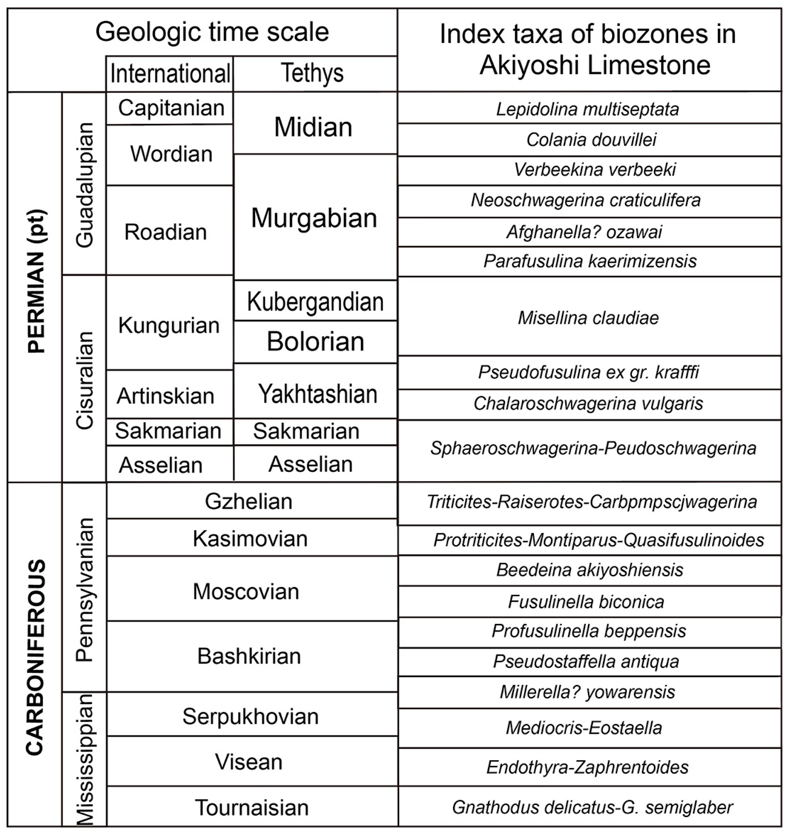 Geosciences 15 00056 g007