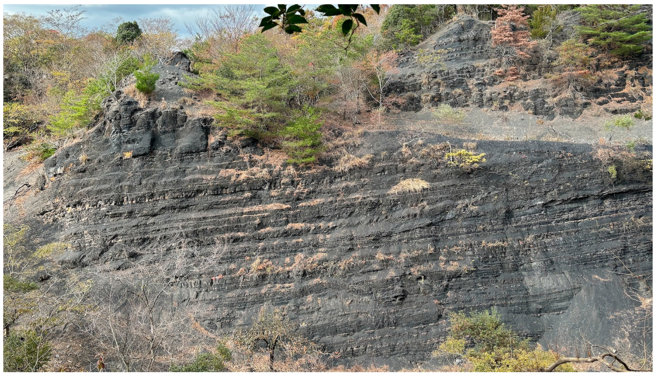 Geosciences 15 00056 g014