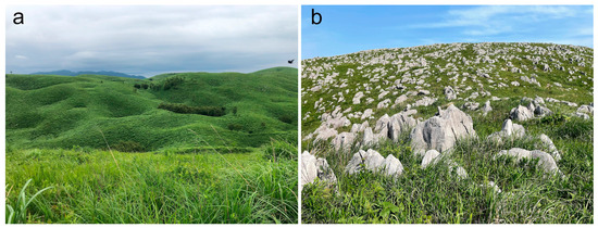 Geosciences 15 00056 g022