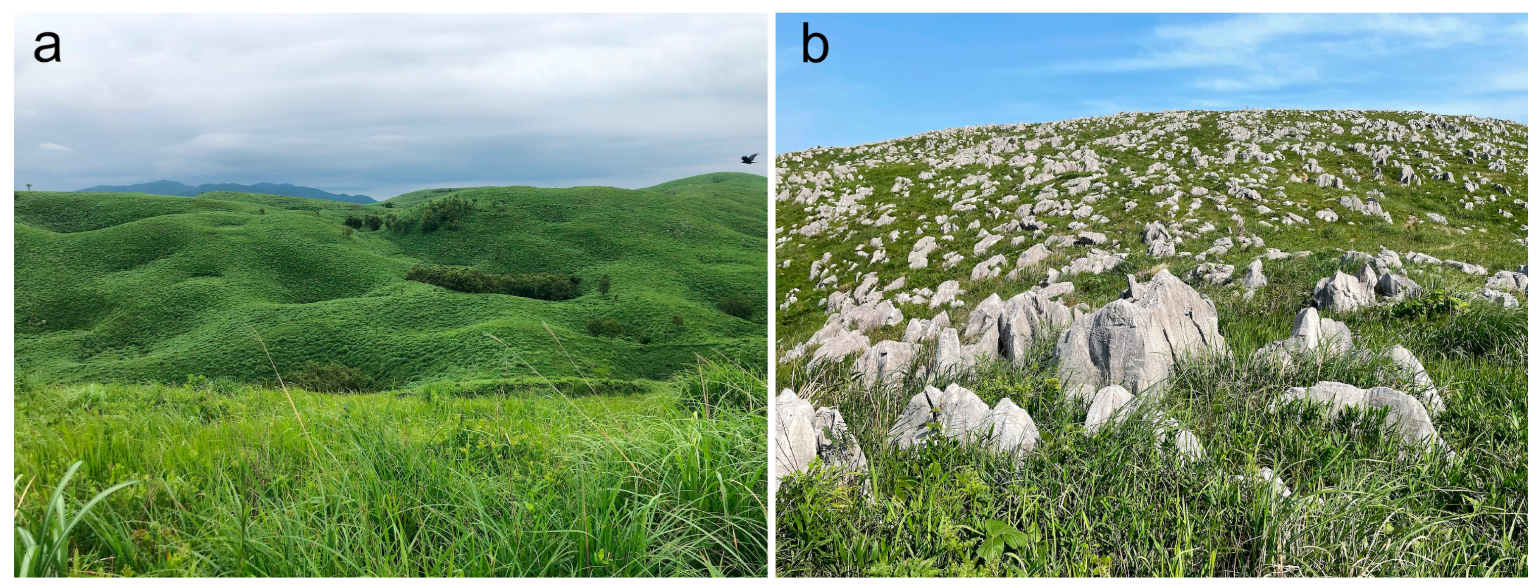Geosciences 15 00056 g022