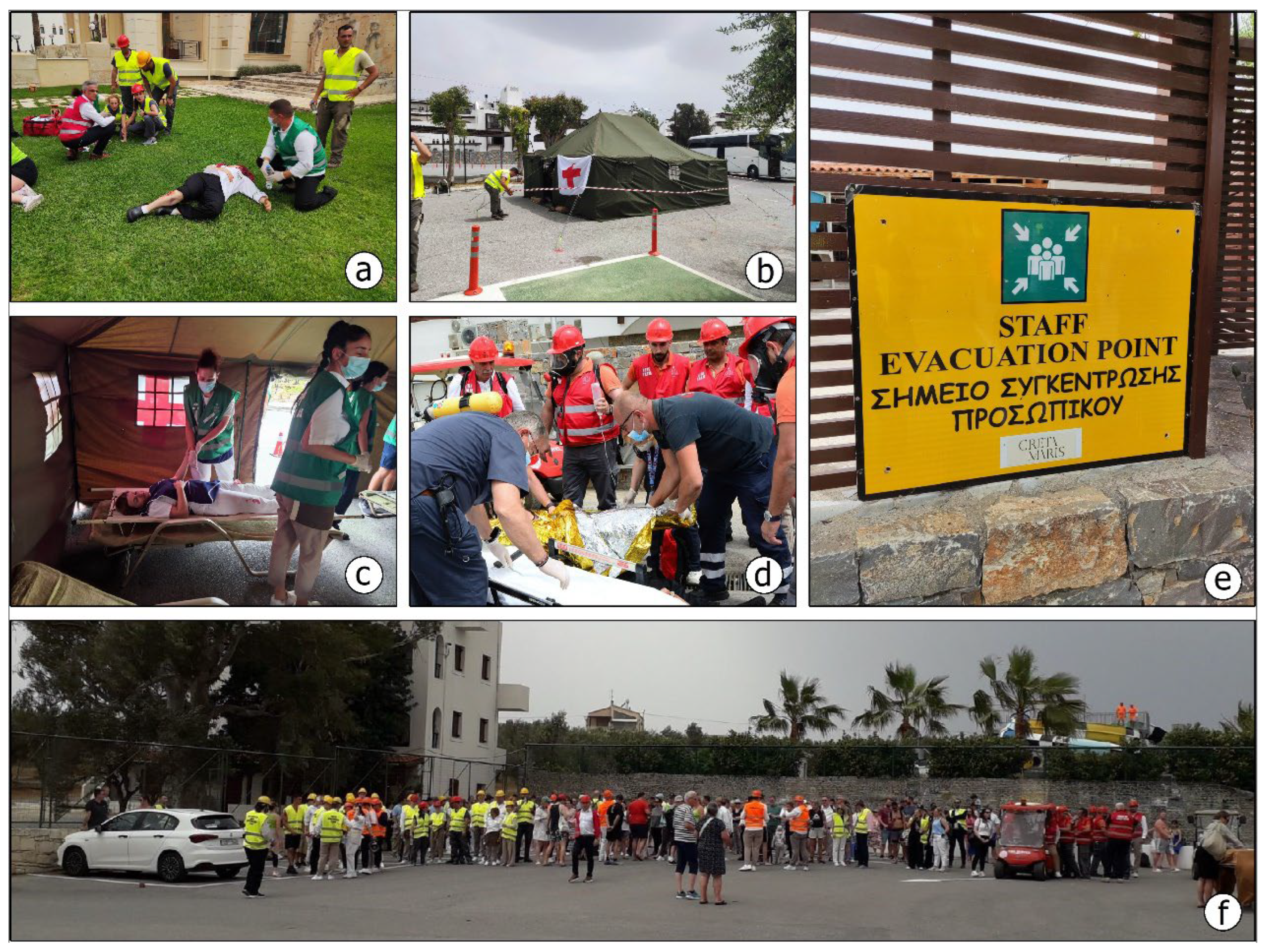 Geosciences 15 00059 g010