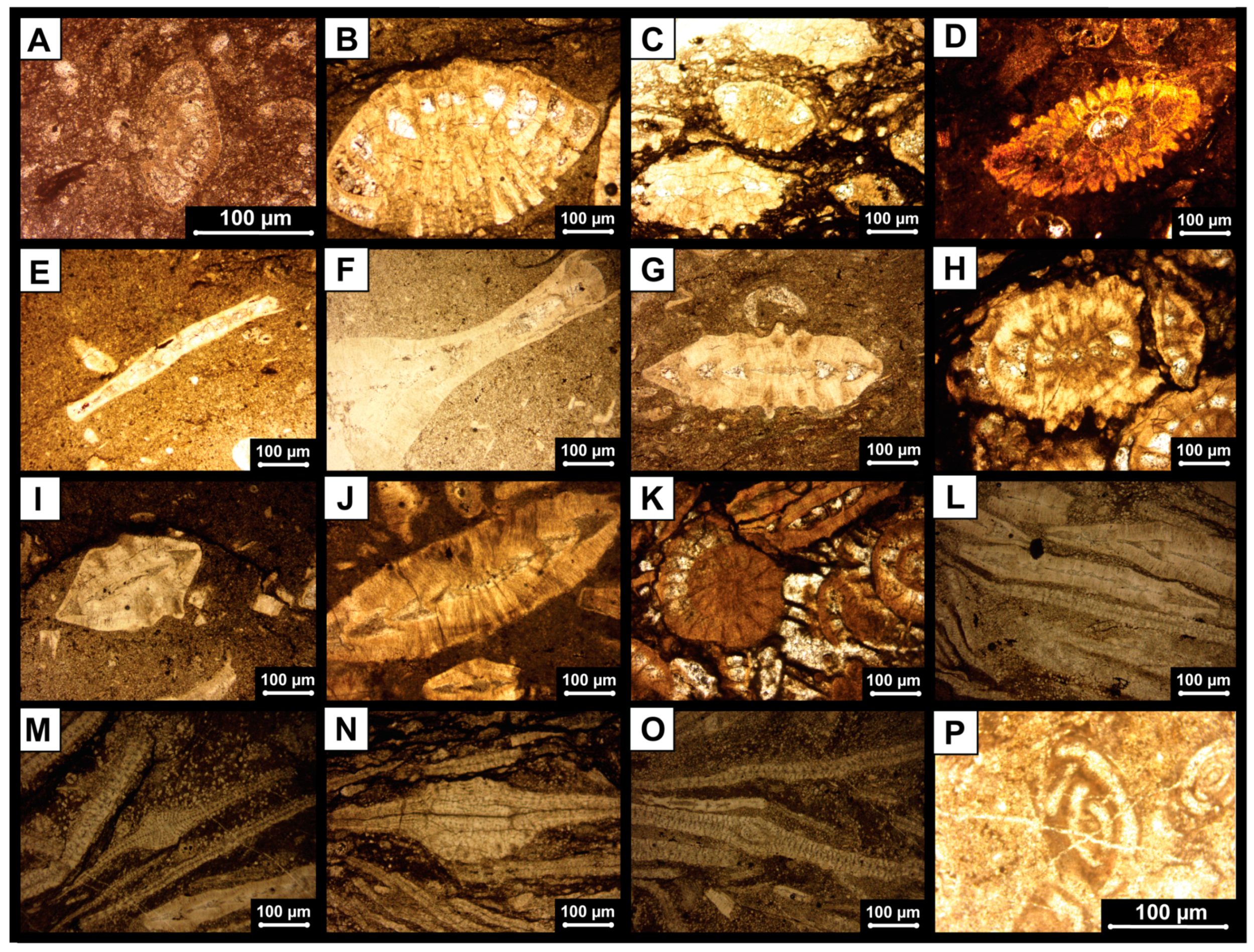 Geosciences 15 00063 g006