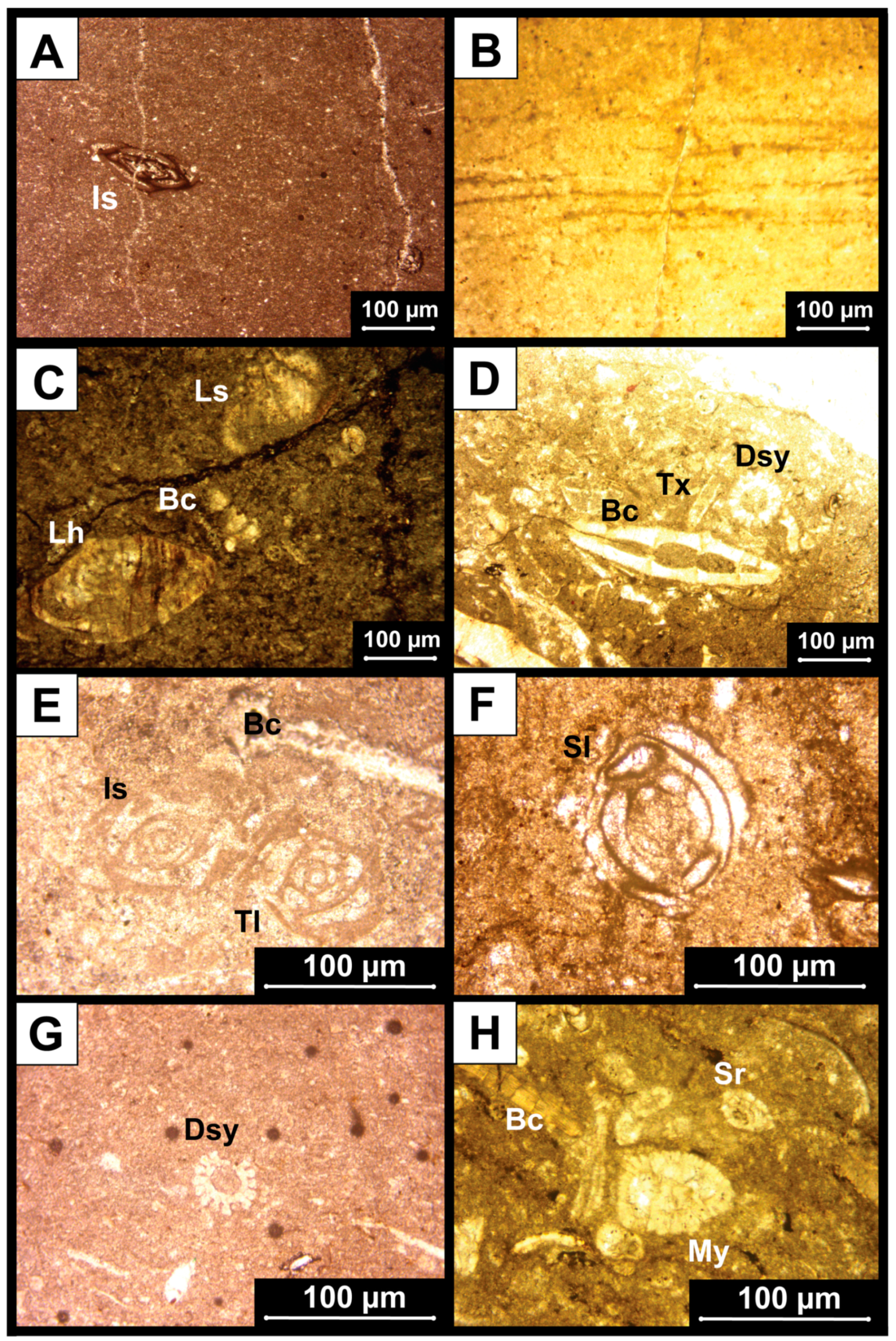 Geosciences 15 00063 g008