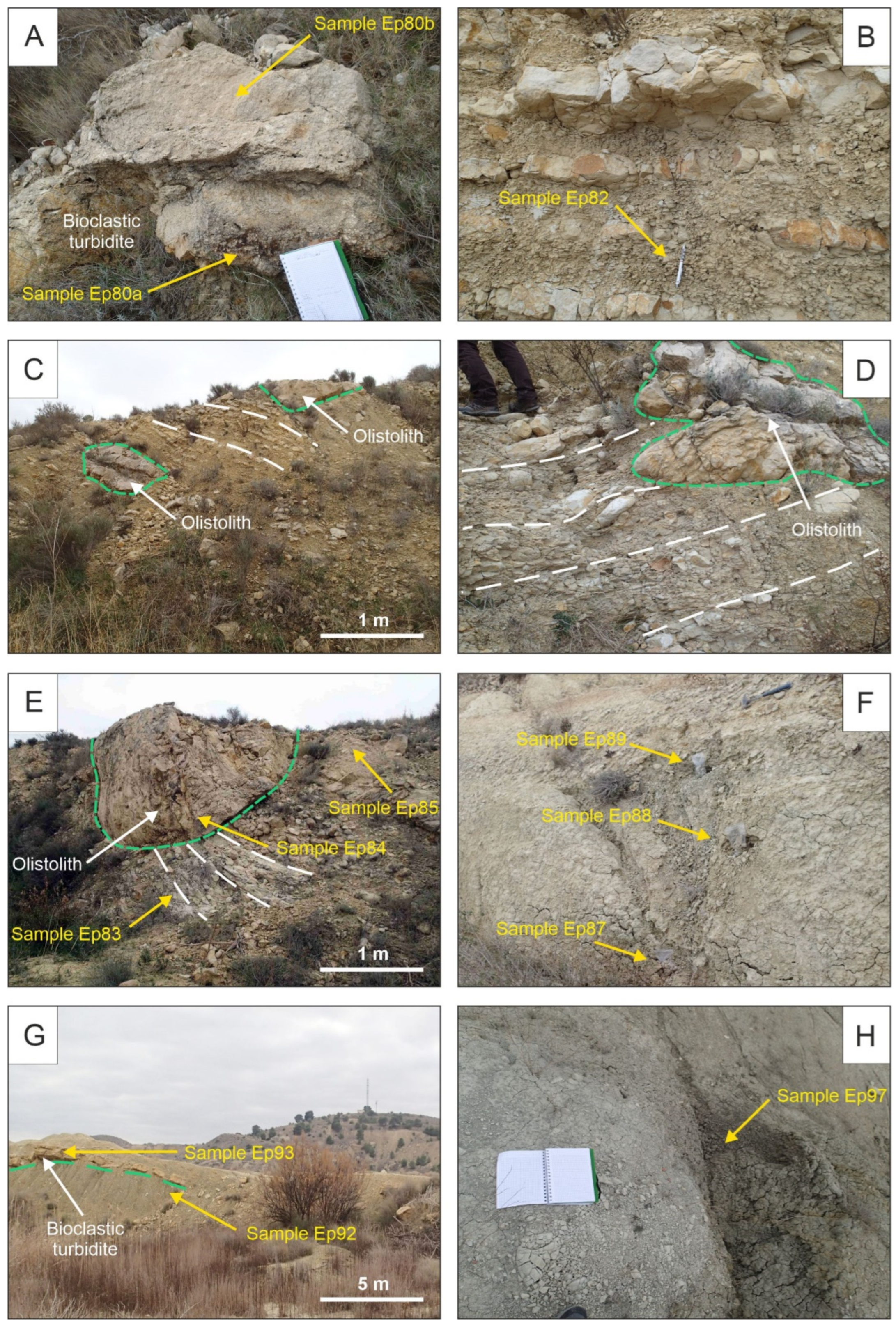 Geosciences 15 00081 g003