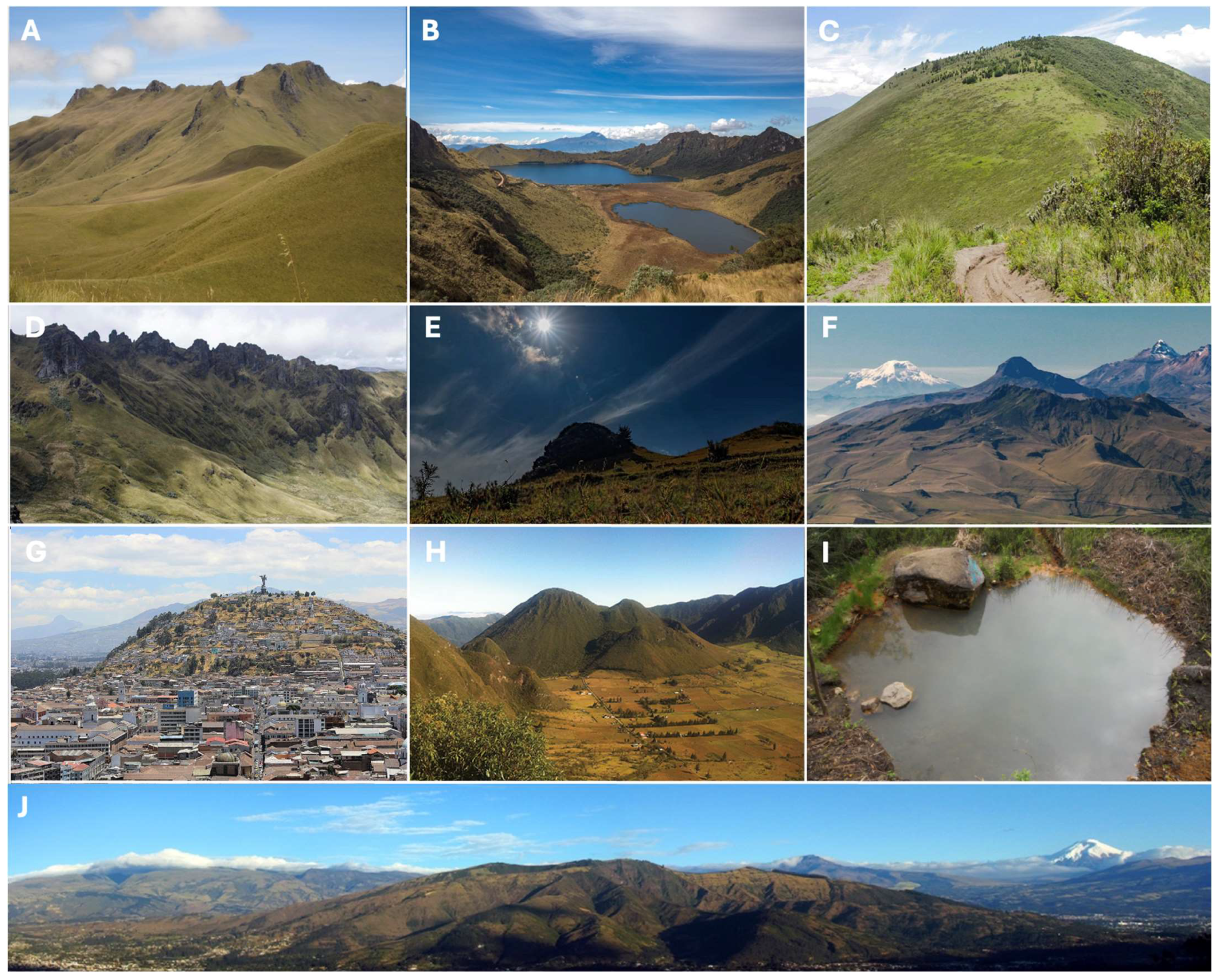 Geosciences 15 00116 g005