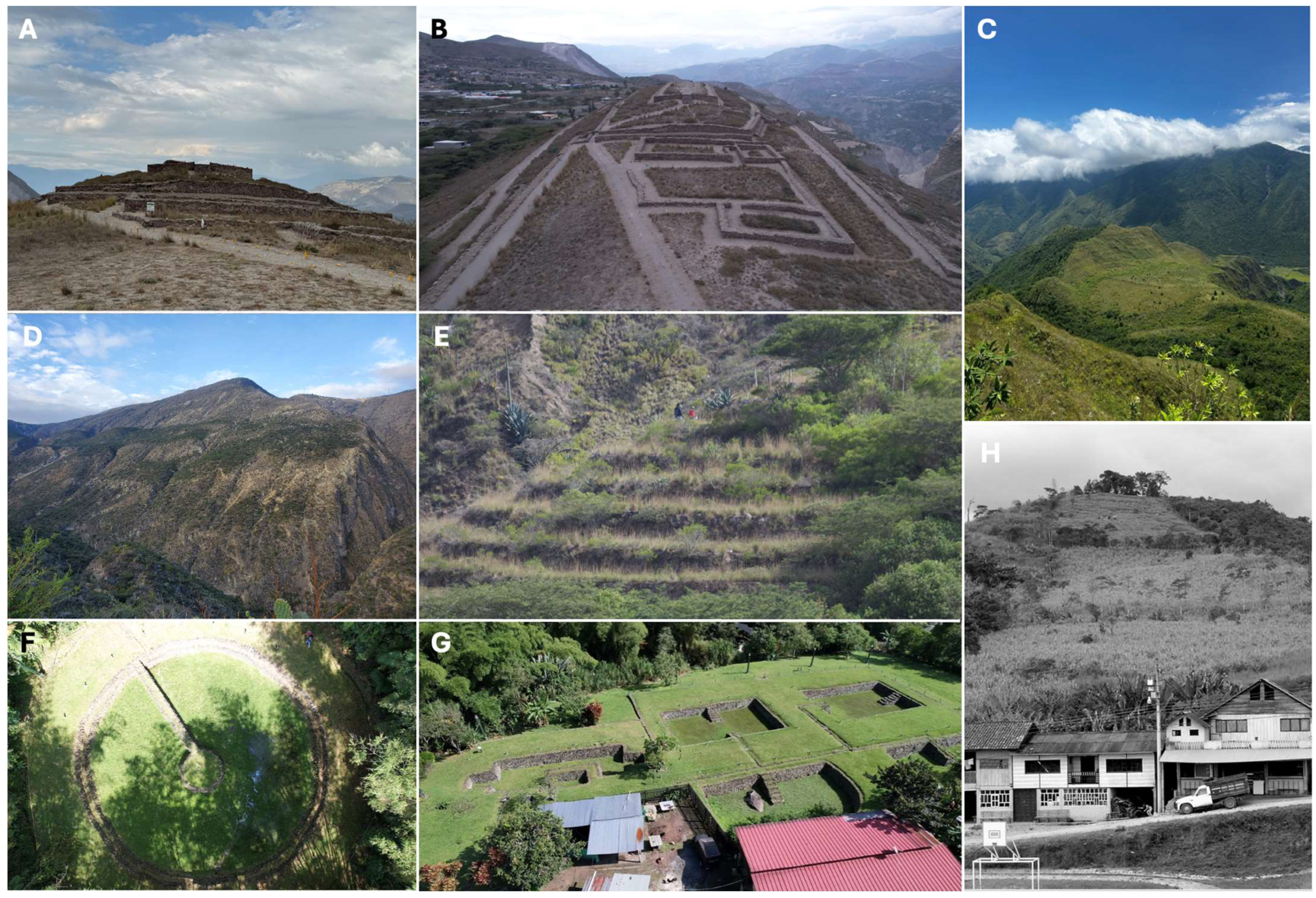 Geosciences 15 00116 g008