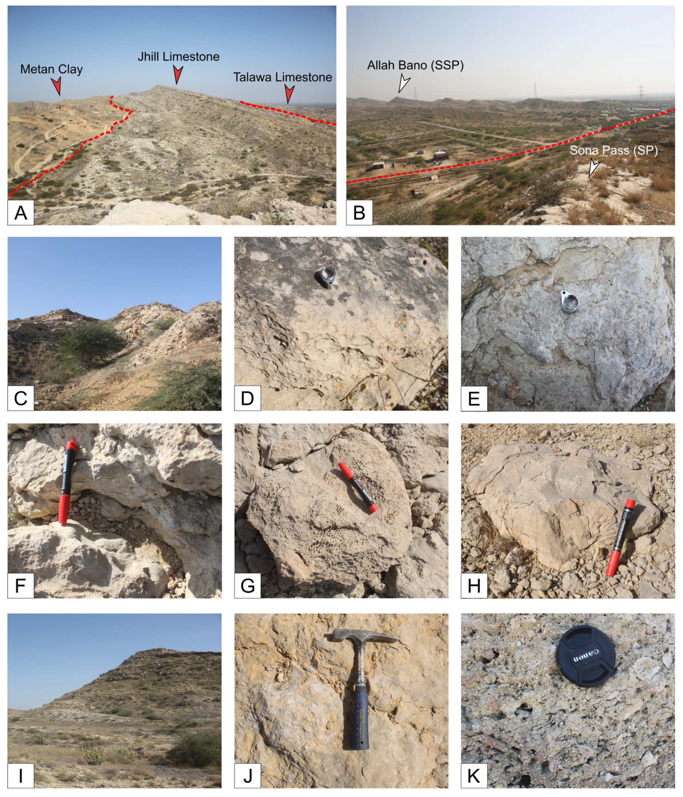 Geosciences 15 00129 g002