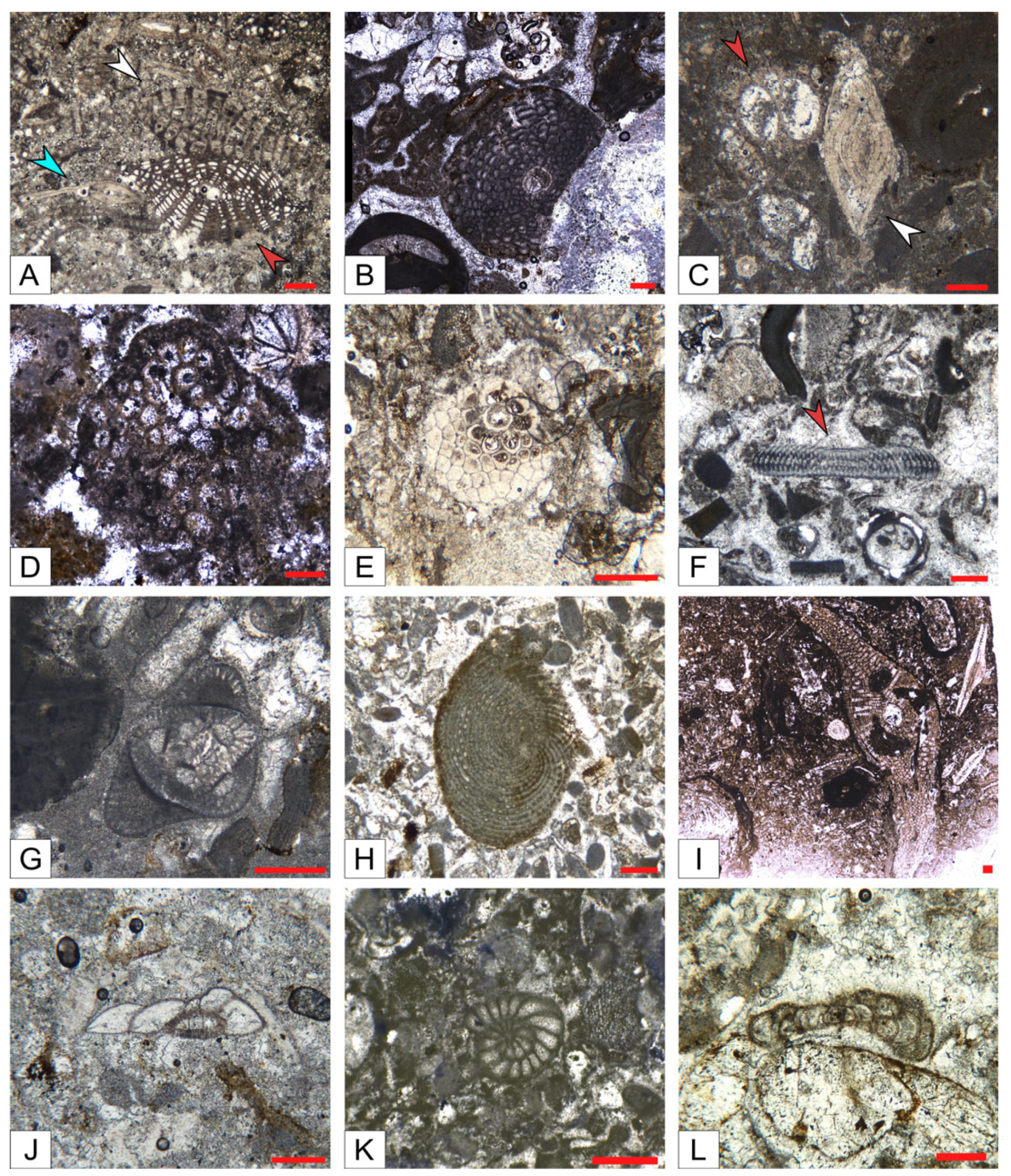 Geosciences 15 00129 g006