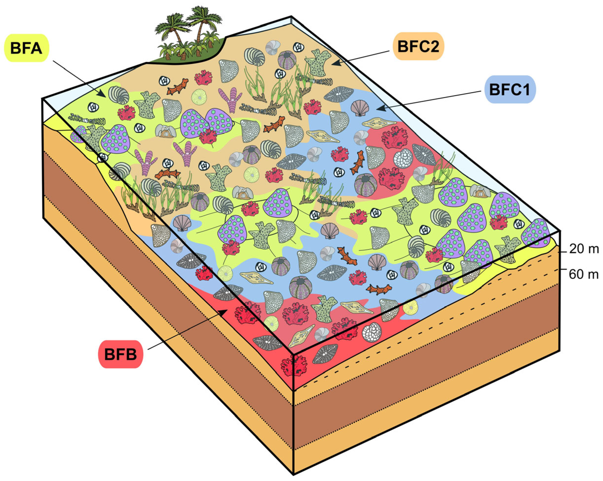 Geosciences 15 00129 g011