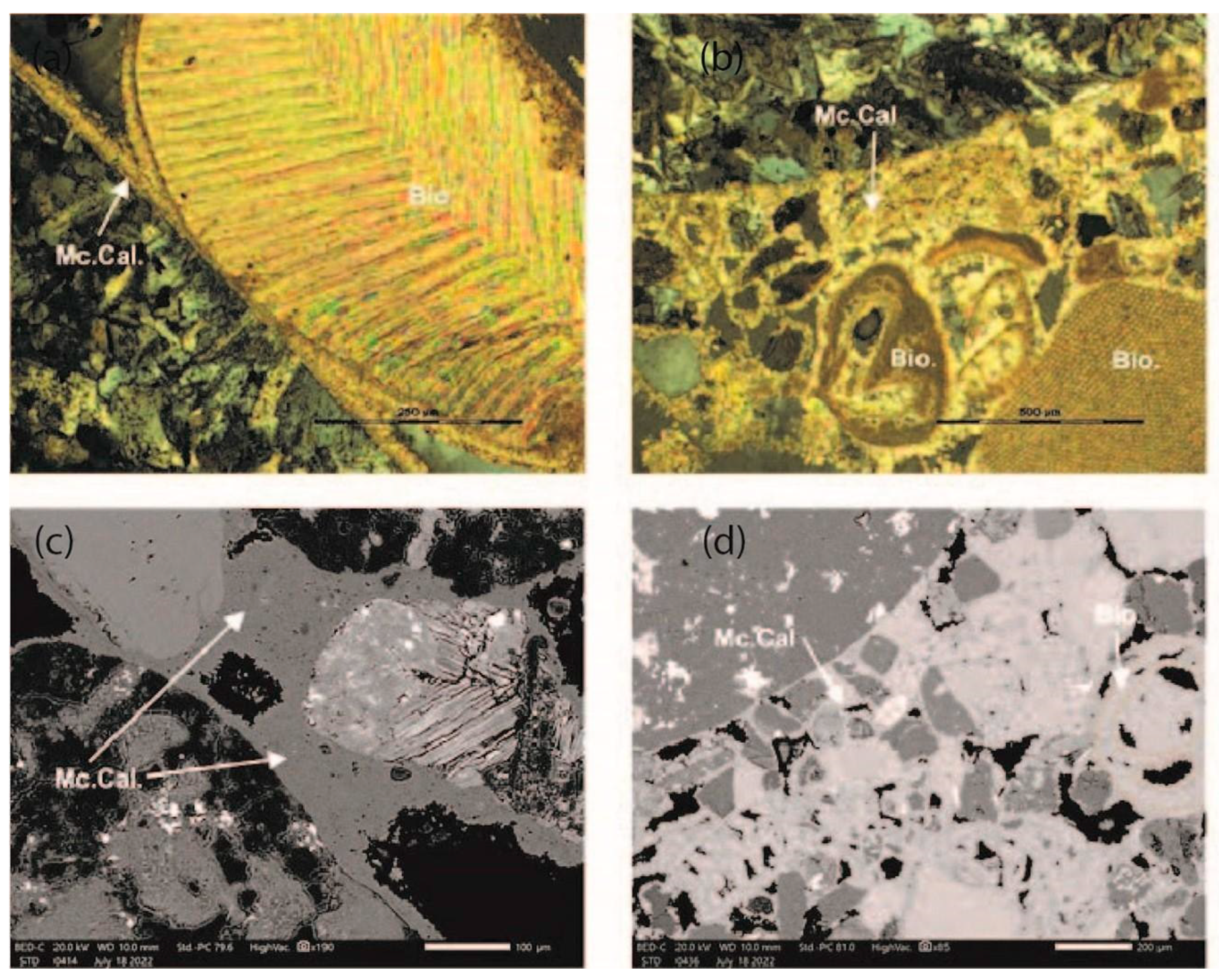 Geosciences 15 00137 g010 Geosciences 15 00137 g010
