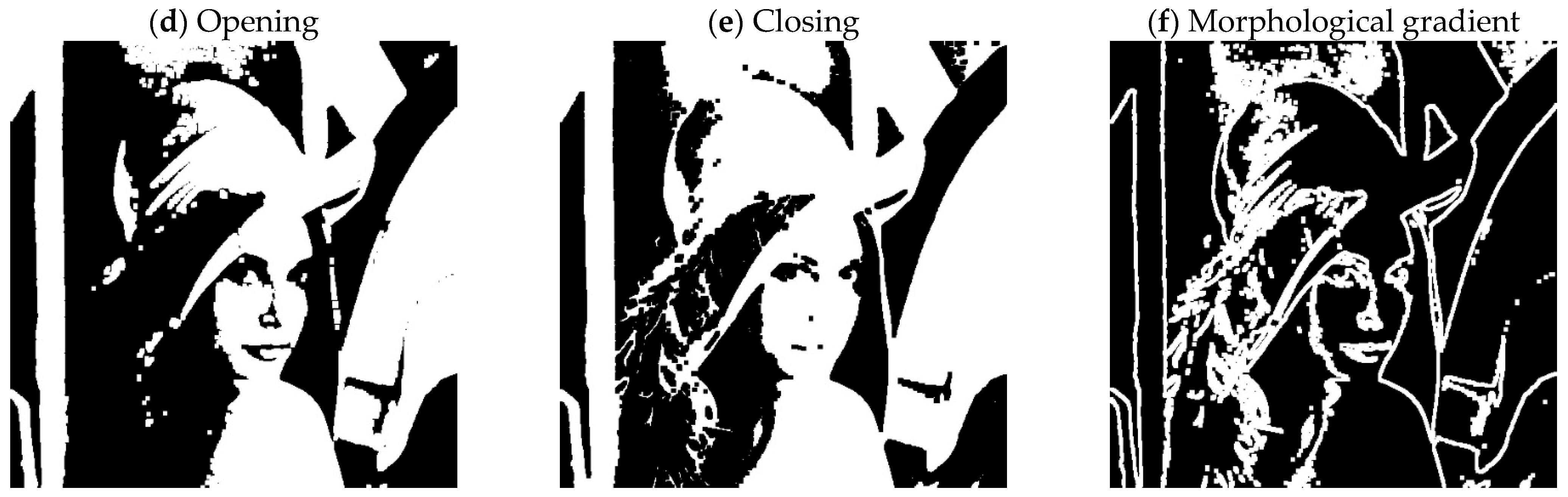 Geosciences 15 00207 g003b