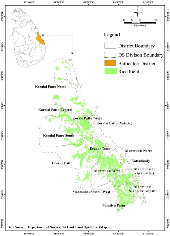 Geosciences 15 00218 g001