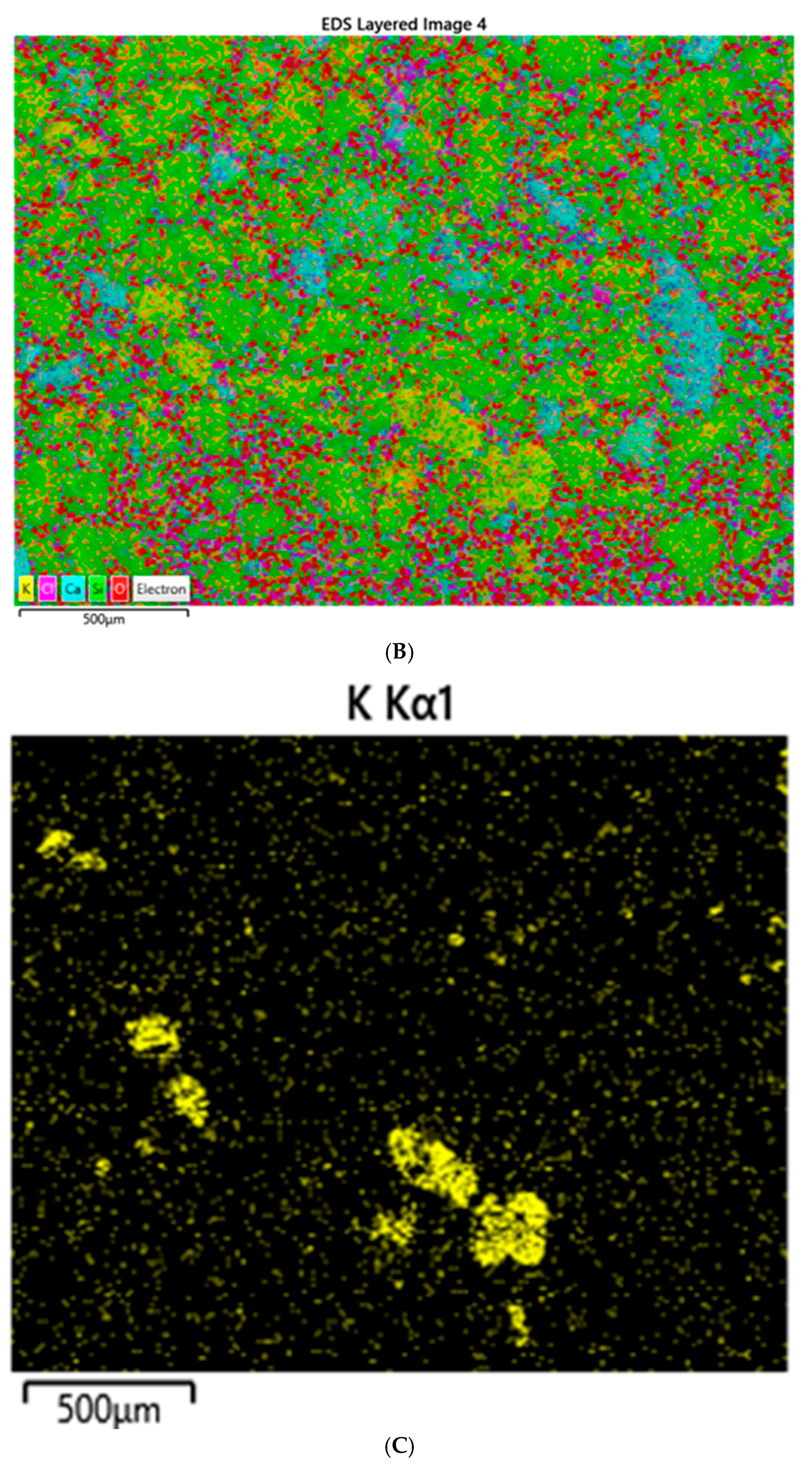 Geosciences 15 00231 g008b