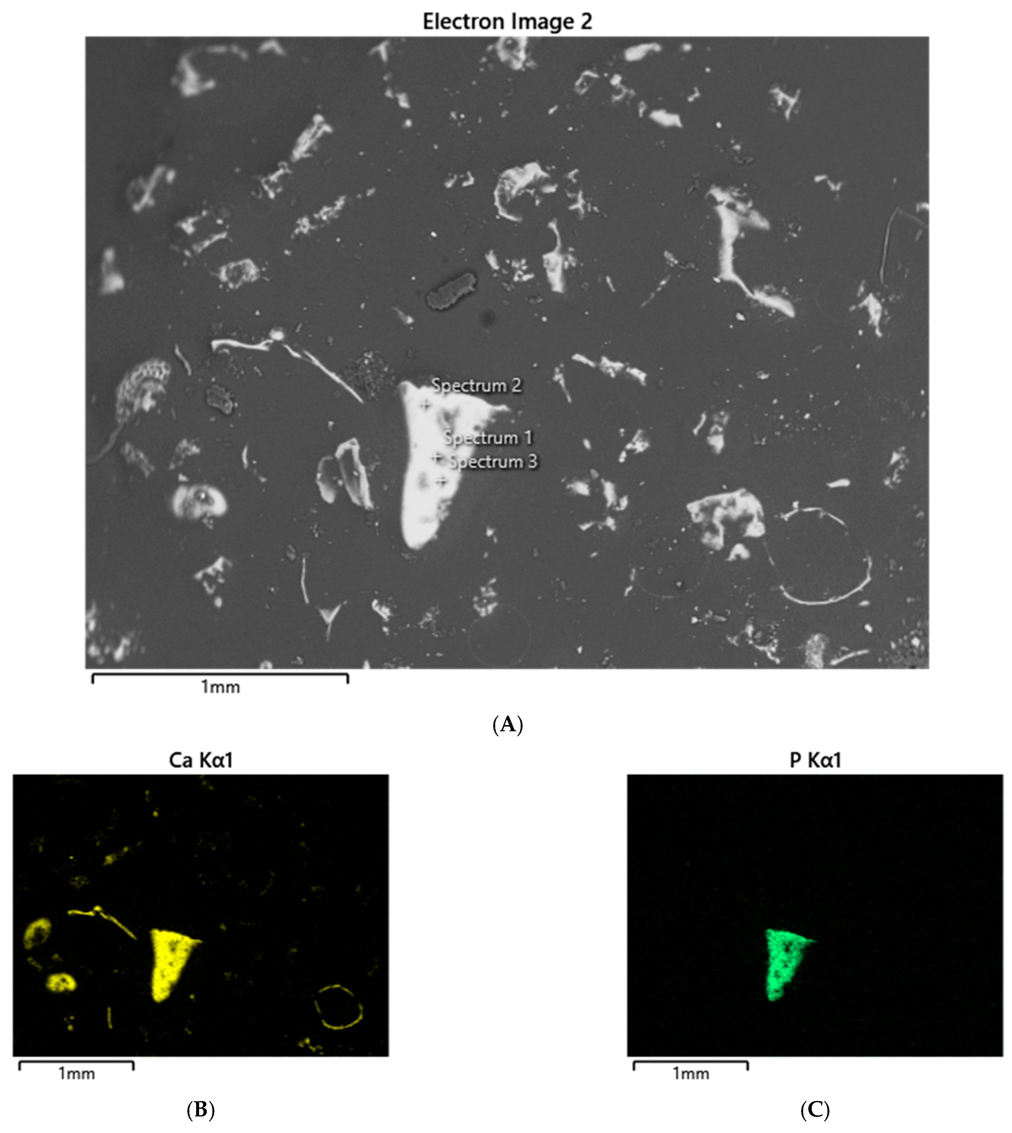 Geosciences 15 00231 g009a