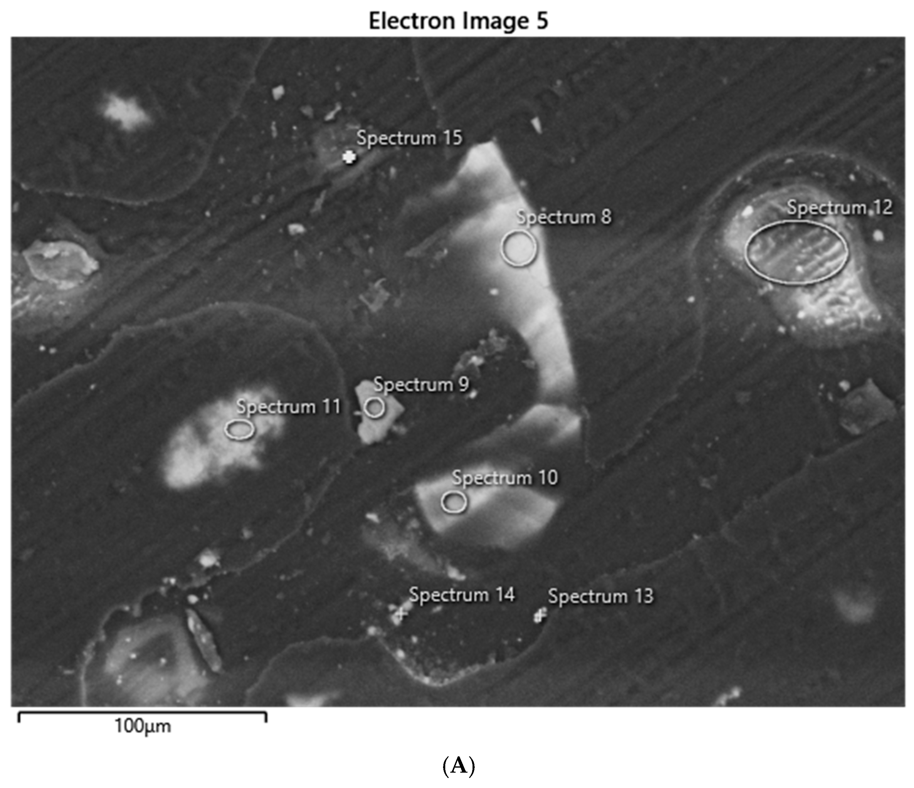 Geosciences 15 00231 g010a