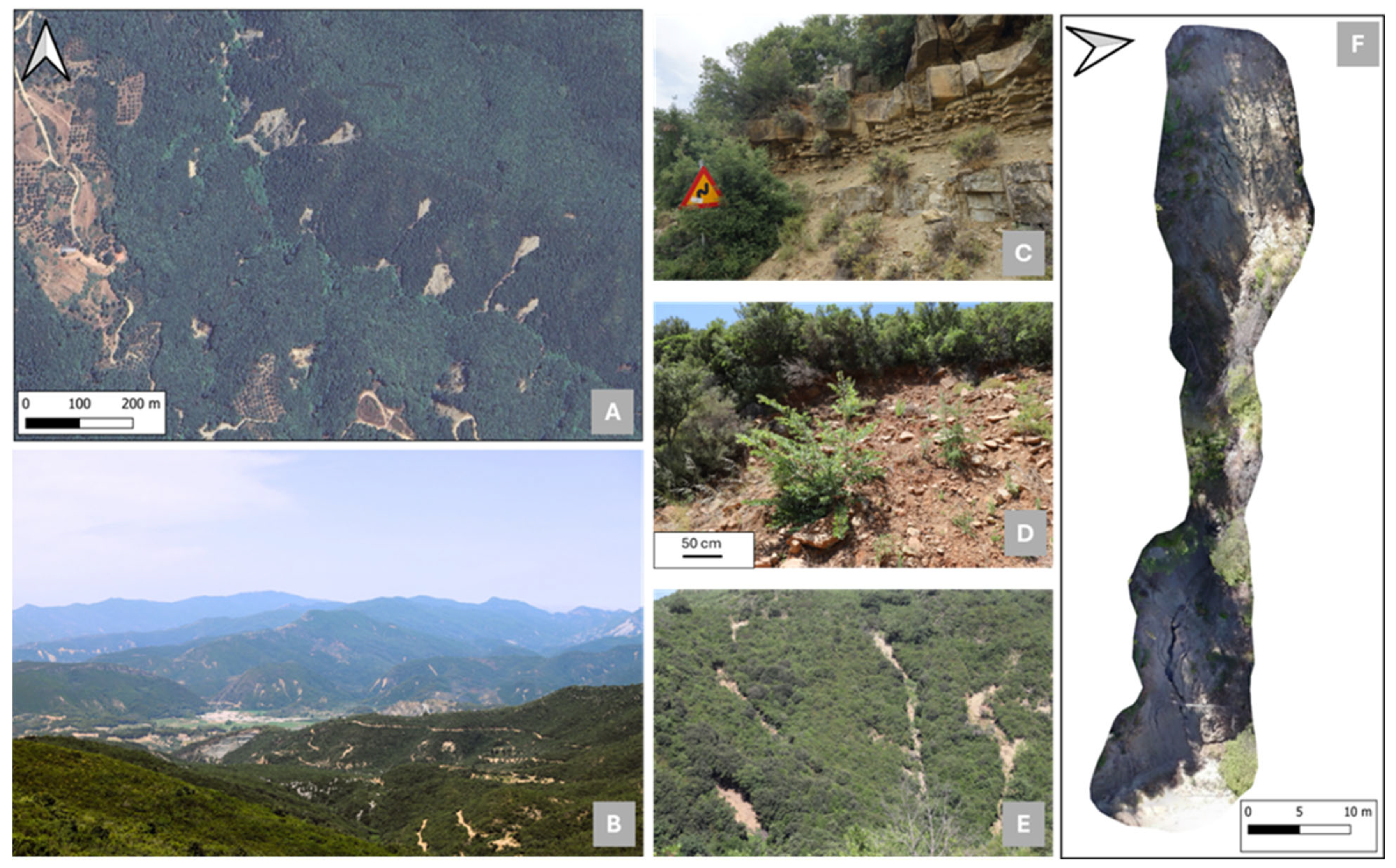 Geosciences 15 00250 g004