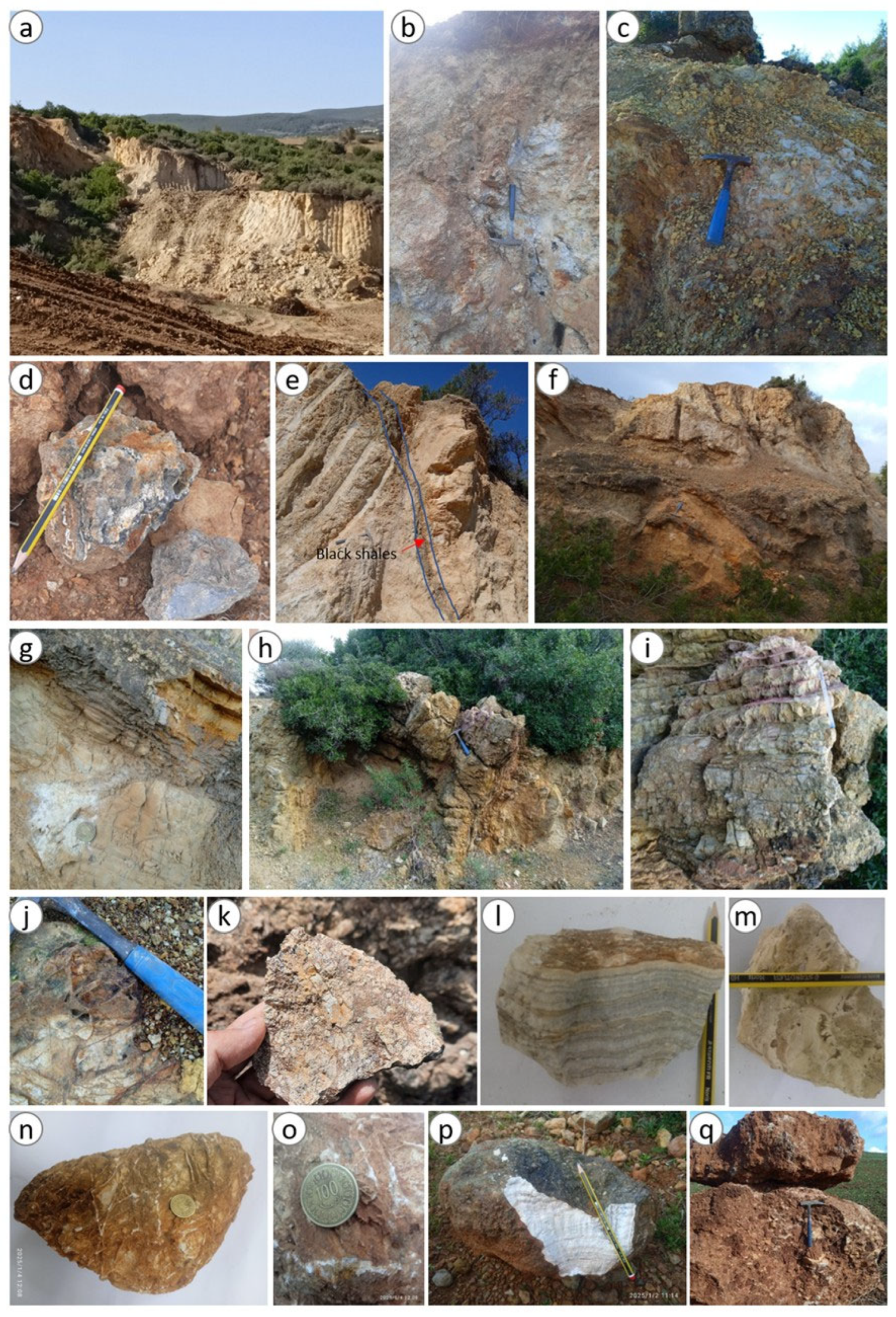 Geosciences 15 00269 g004
