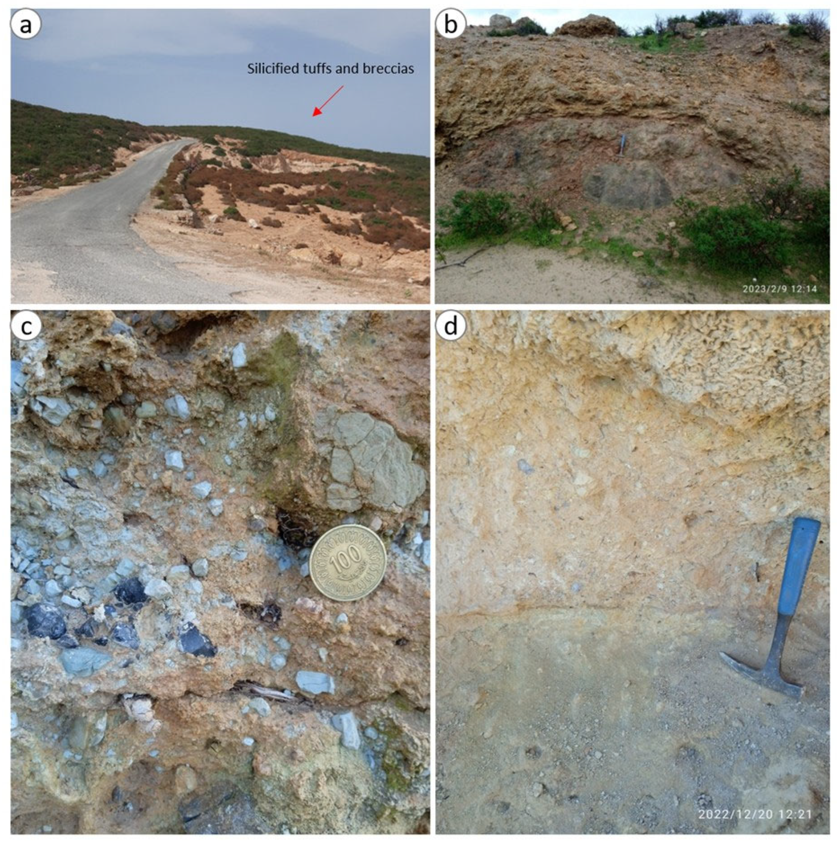 Geosciences 15 00269 g005