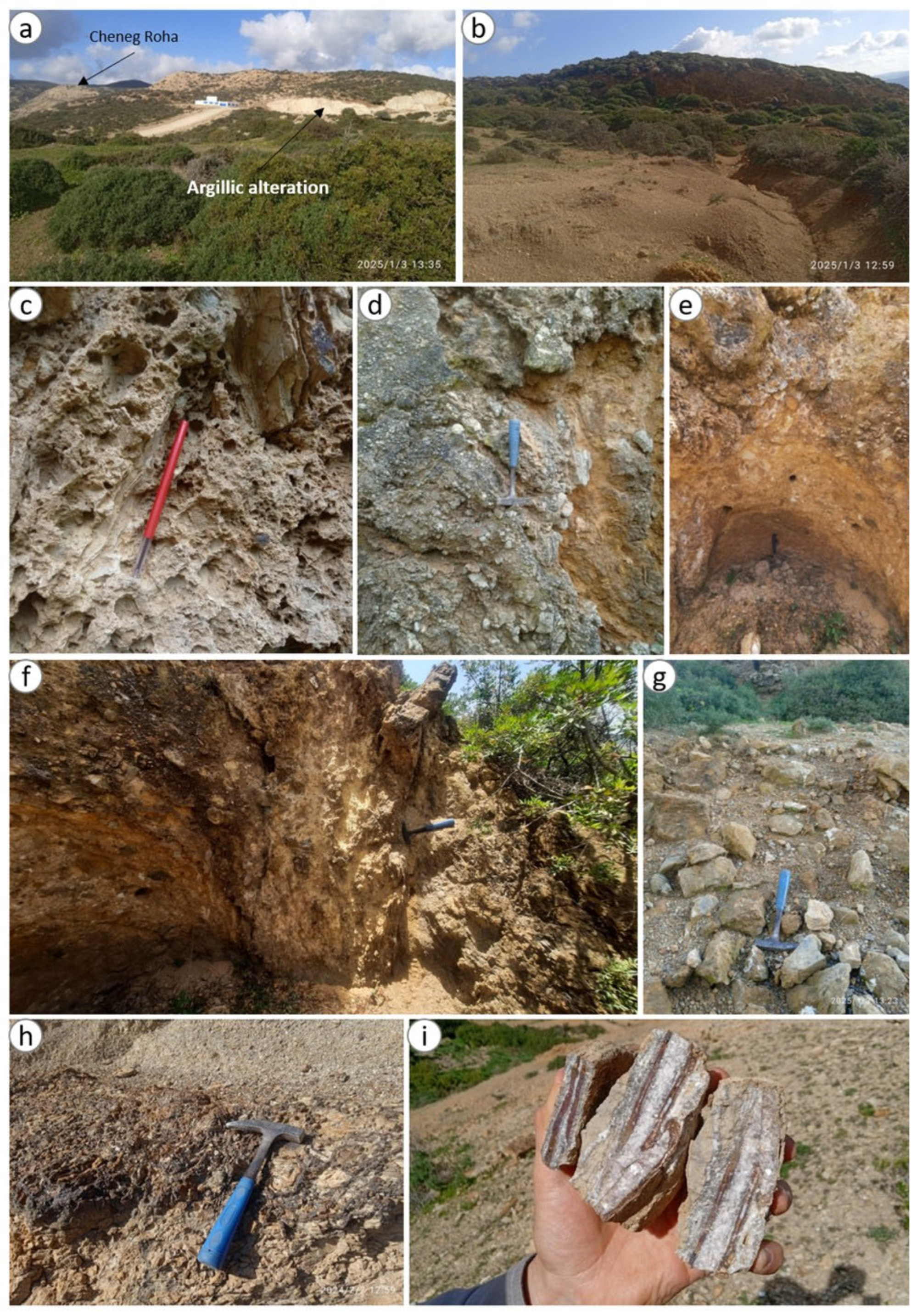 Geosciences 15 00269 g006