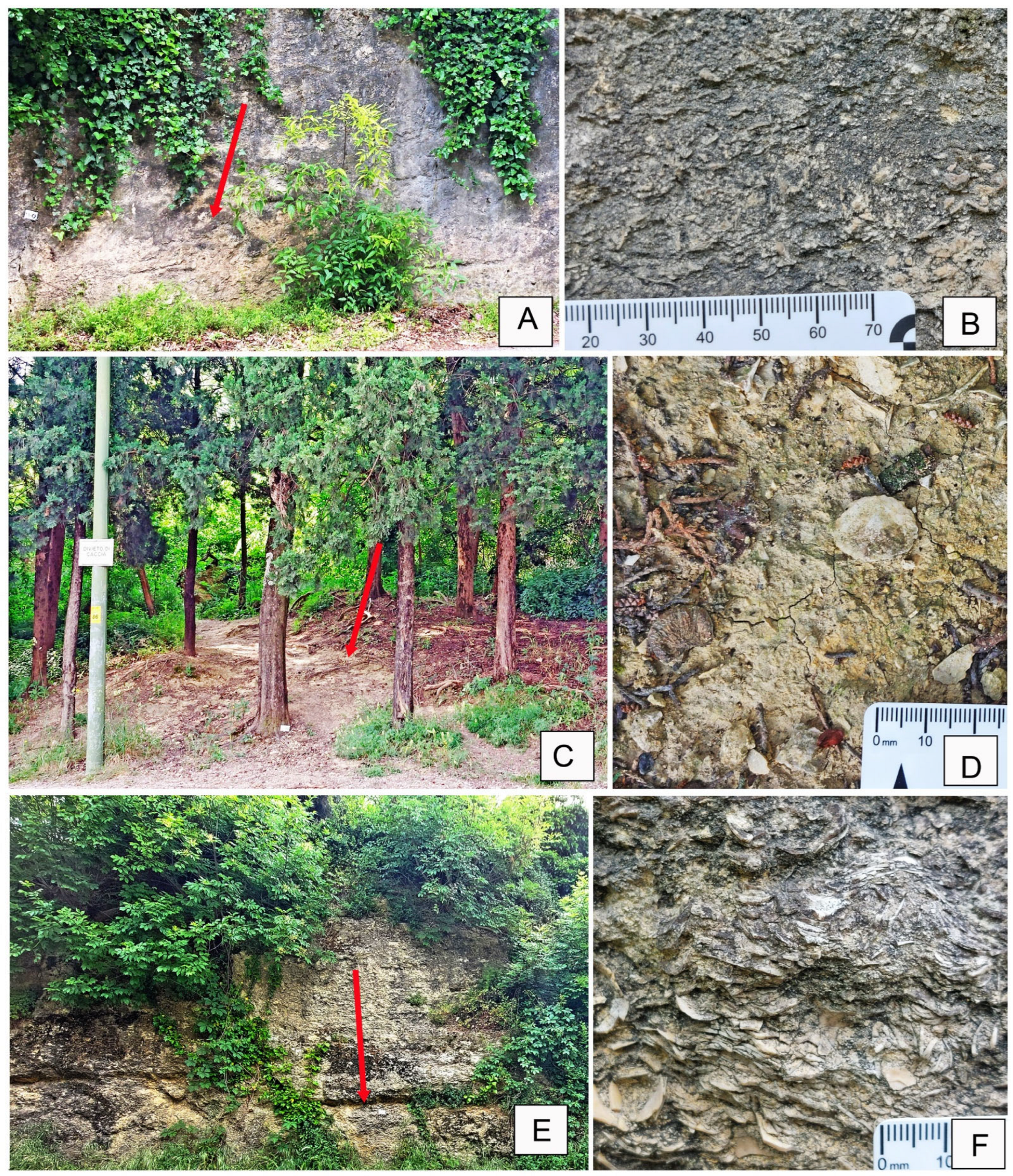 Geosciences 15 00334 g004 Geosciences 15 00334 g004