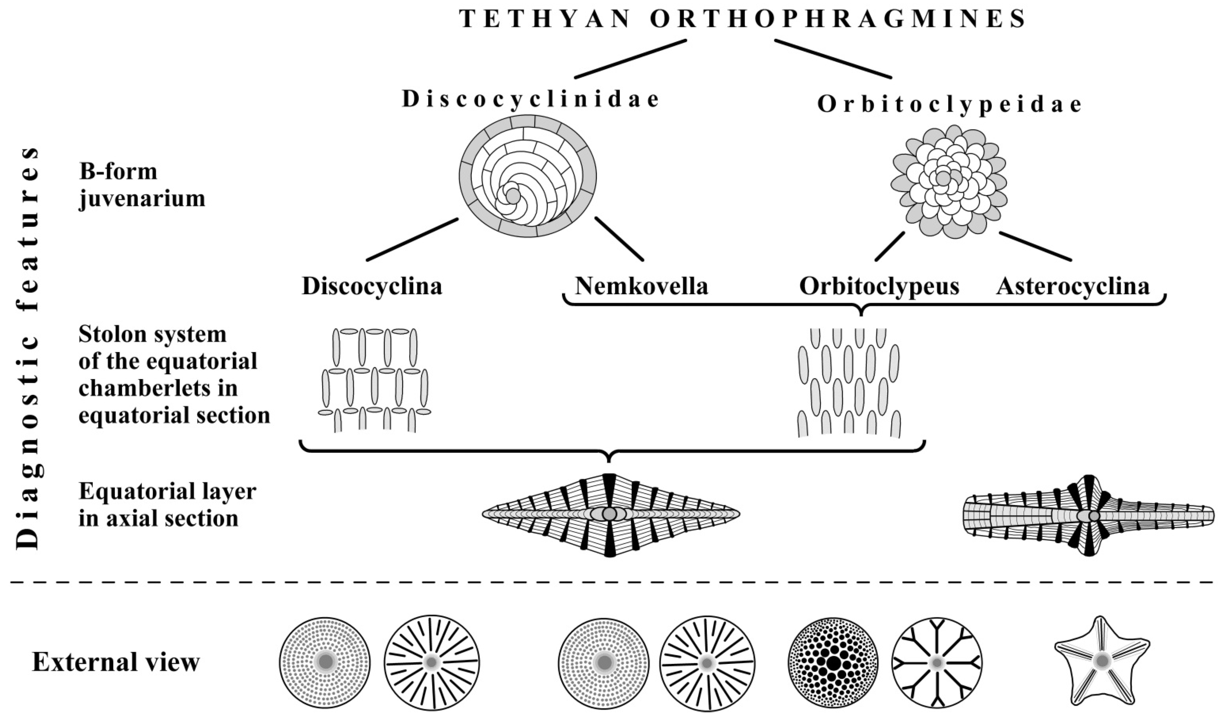 Geosciences 15 00334 g005 Geosciences 15 00334 g005