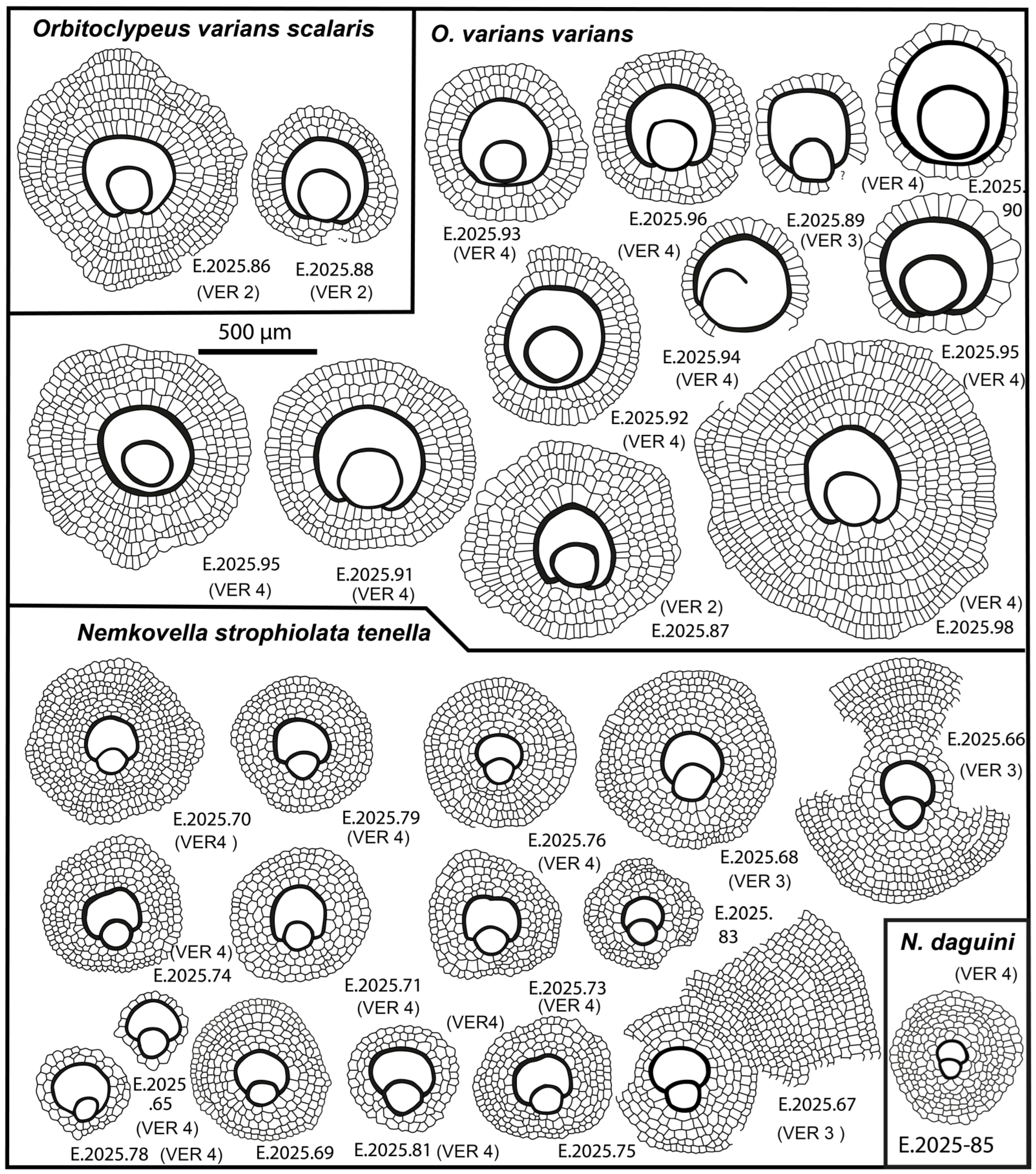 Geosciences 15 00334 g021 Geosciences 15 00334 g021