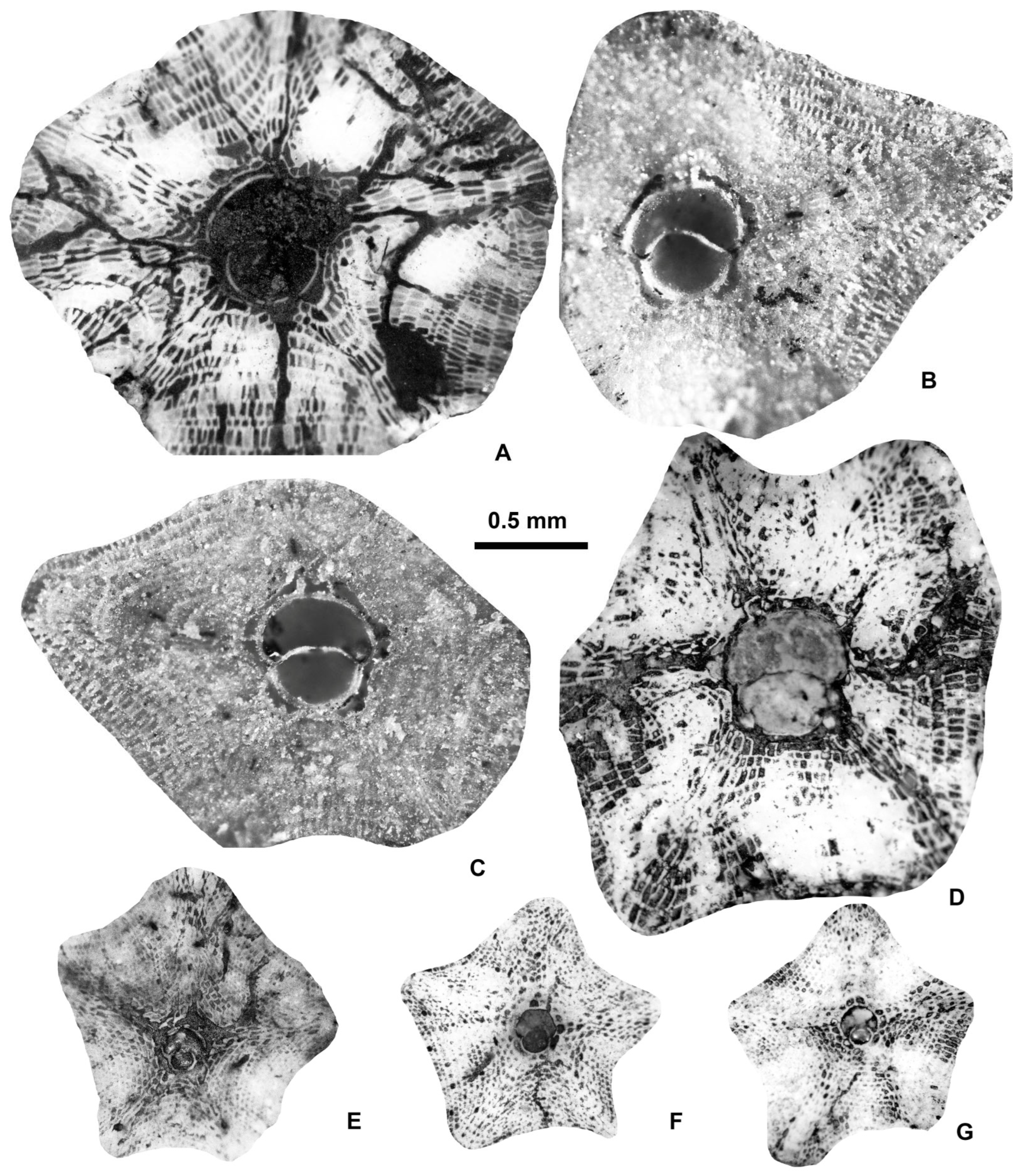 Geosciences 15 00334 g025 Geosciences 15 00334 g025