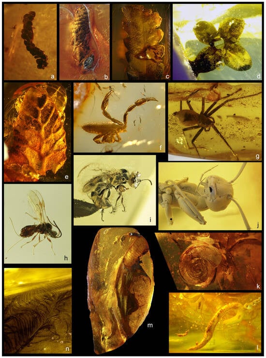 Geosciences 16 00013 g003