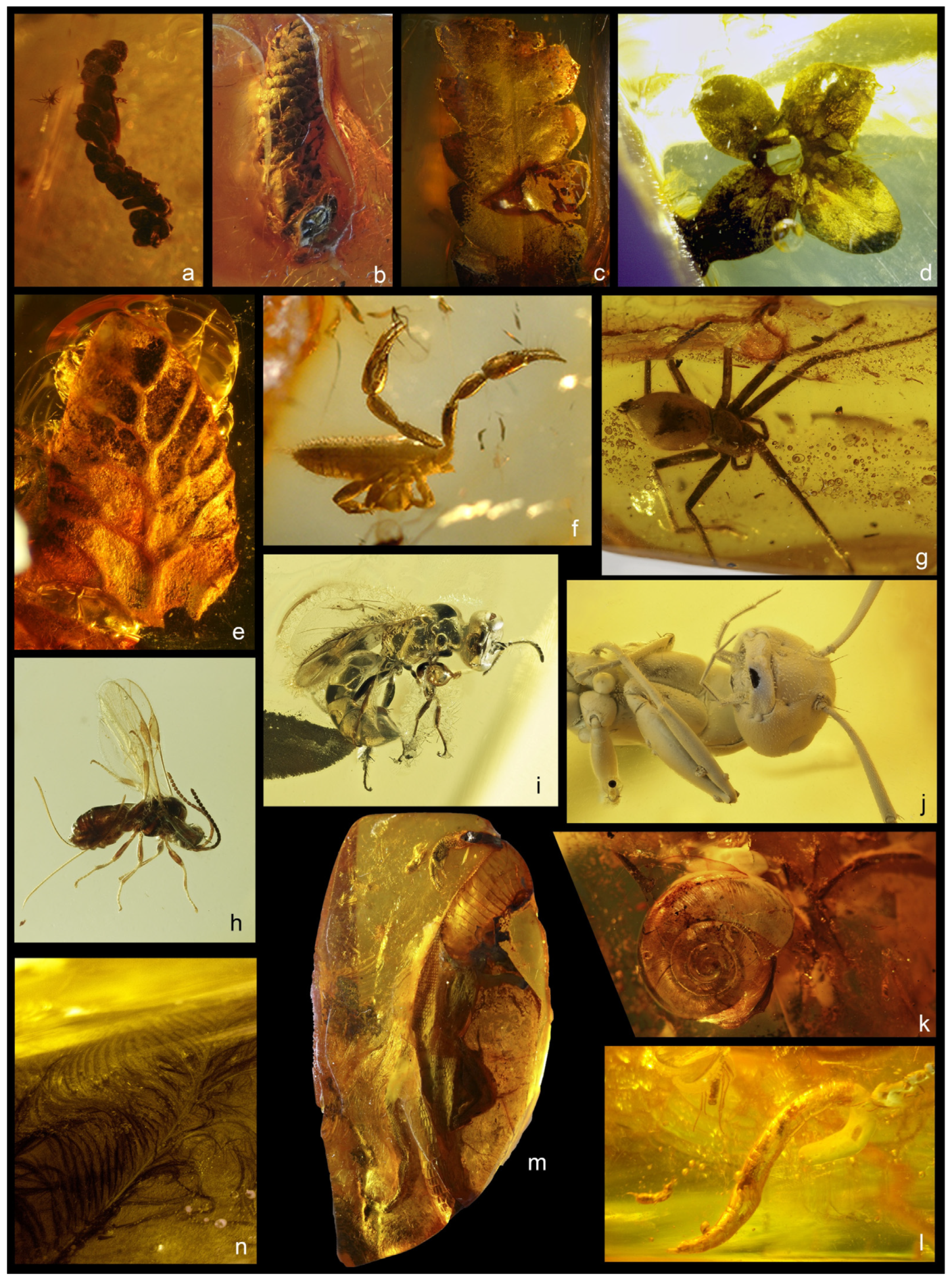 Geosciences 16 00013 g003