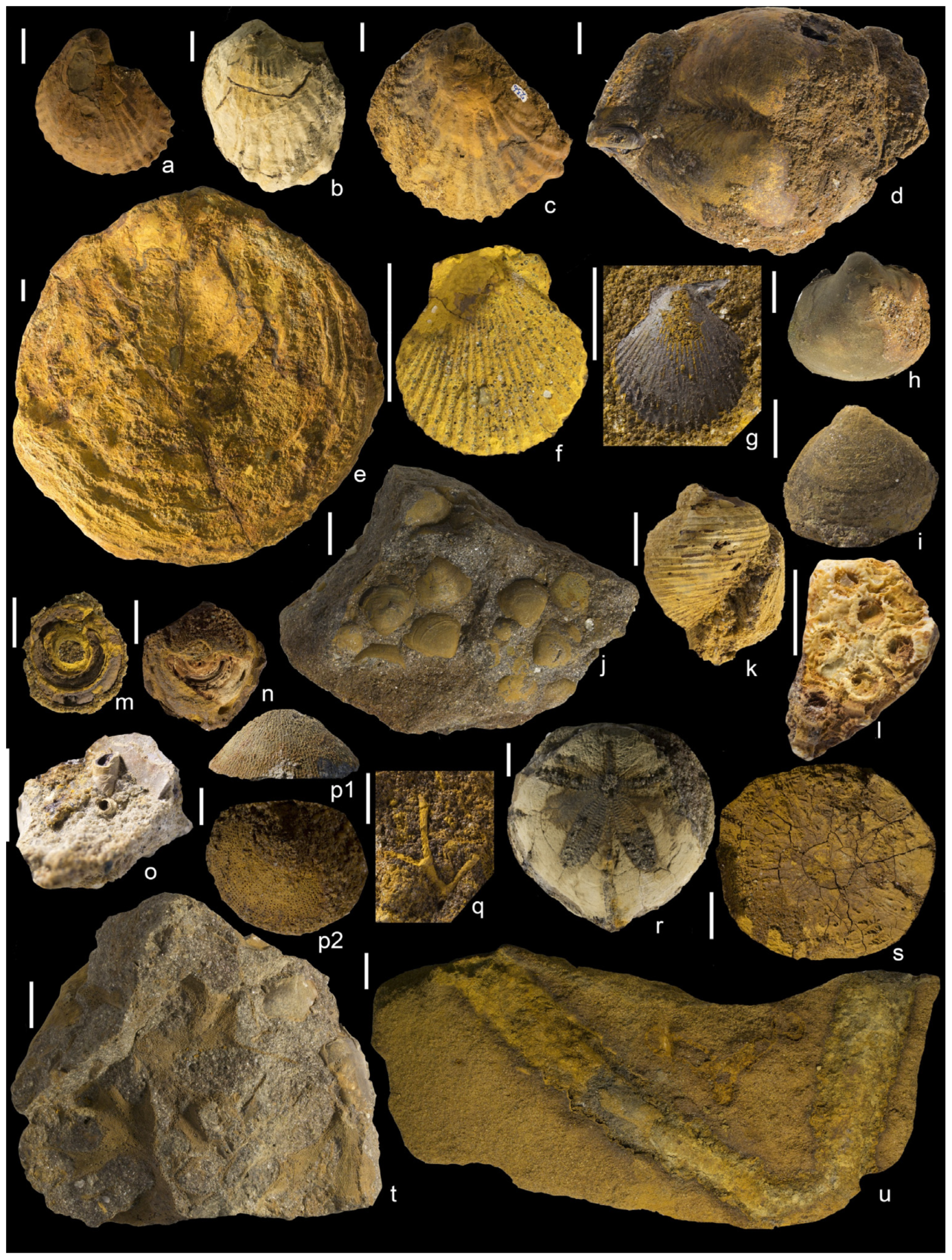 Geosciences 16 00013 g005