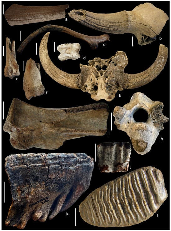 Geosciences 16 00013 g007