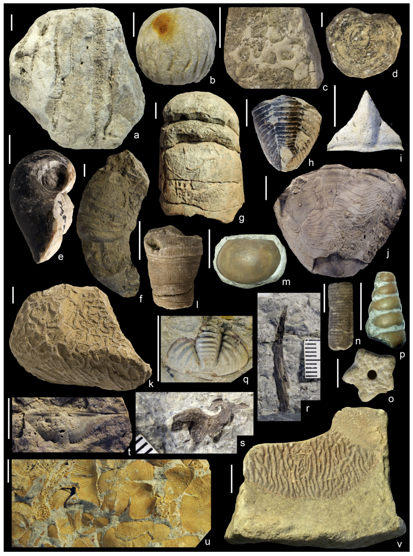 Geosciences 16 00013 g008