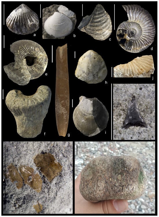 Geosciences 16 00013 g009