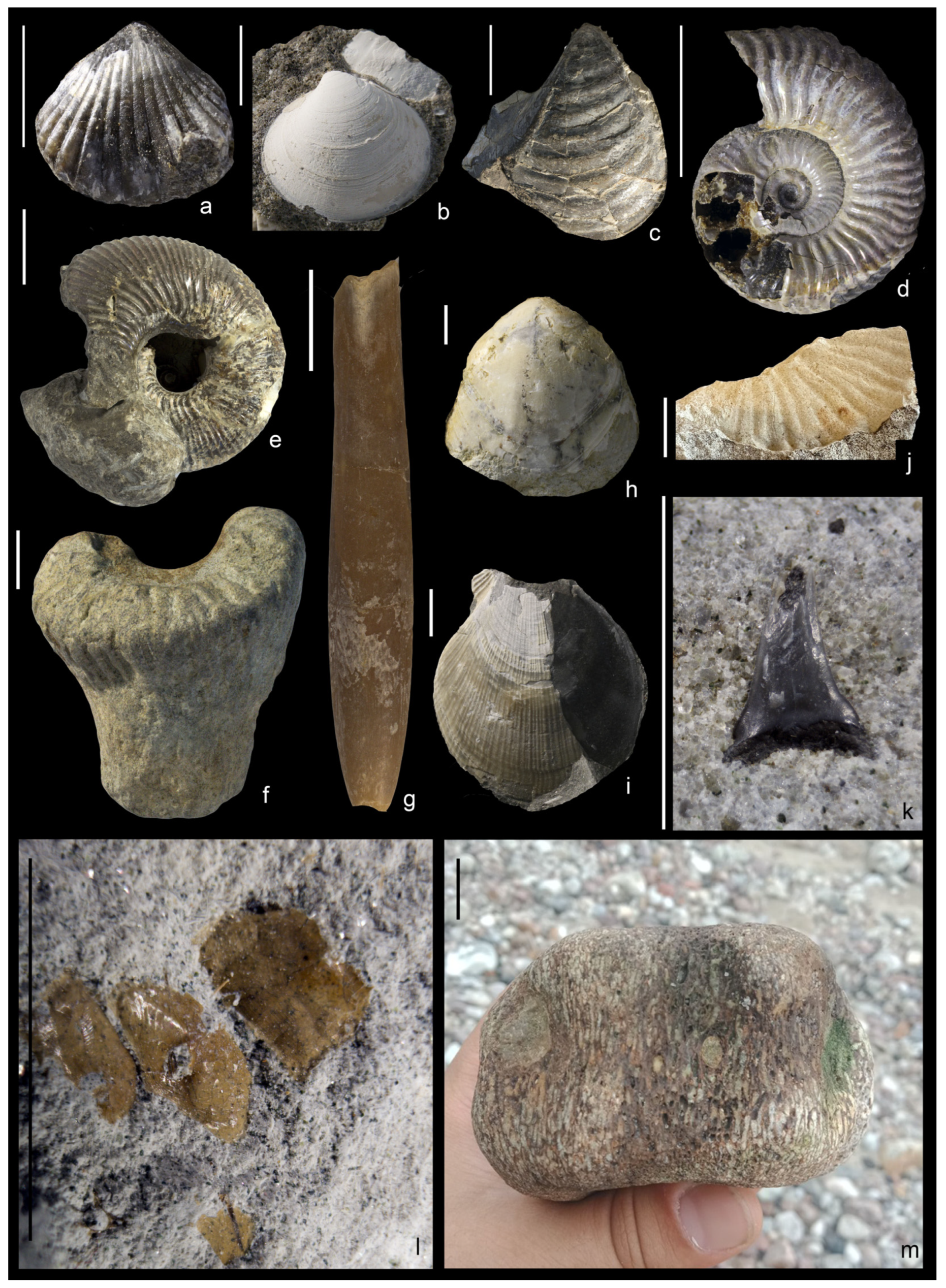 Geosciences 16 00013 g009