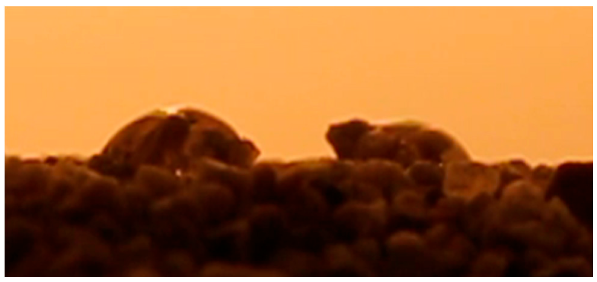 Geotechnics 04 00032 g013