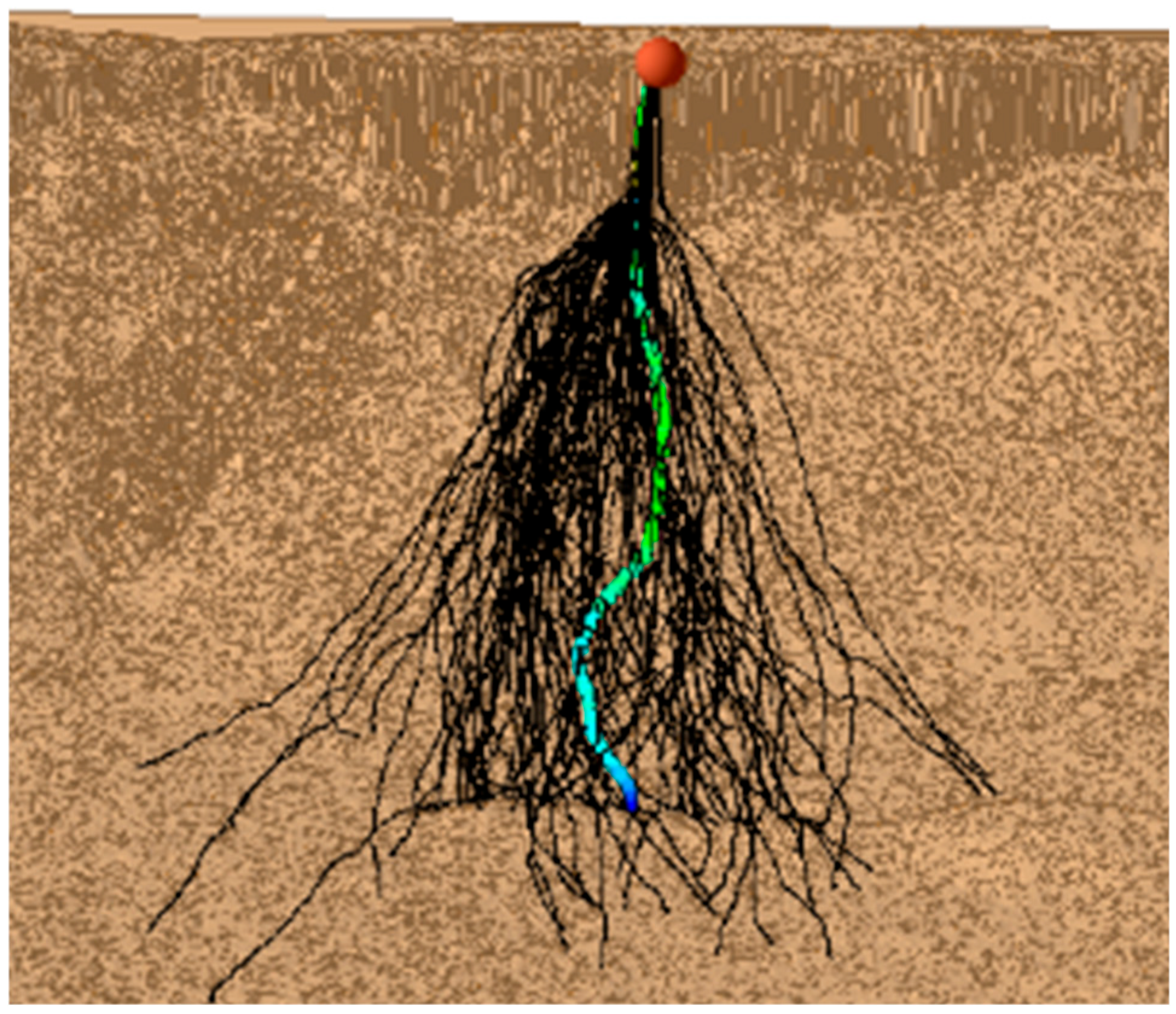 Geotechnics 05 00036 g012