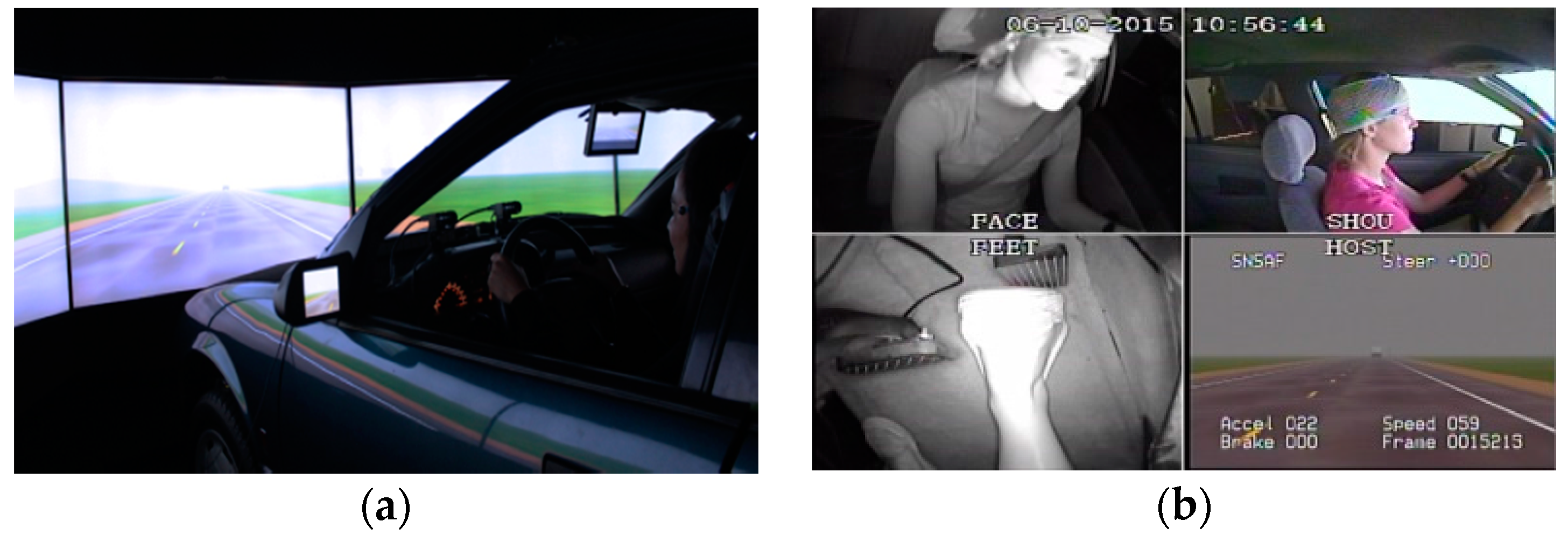 Geriatrics 01 00008 g001