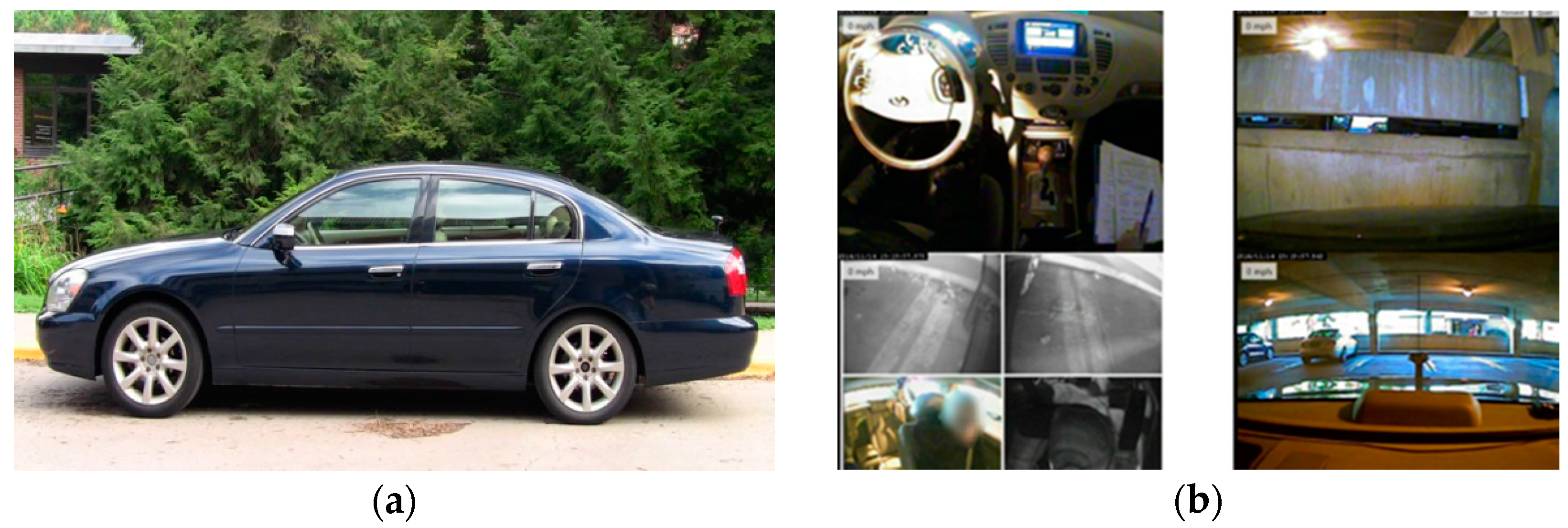 Geriatrics 01 00008 g002