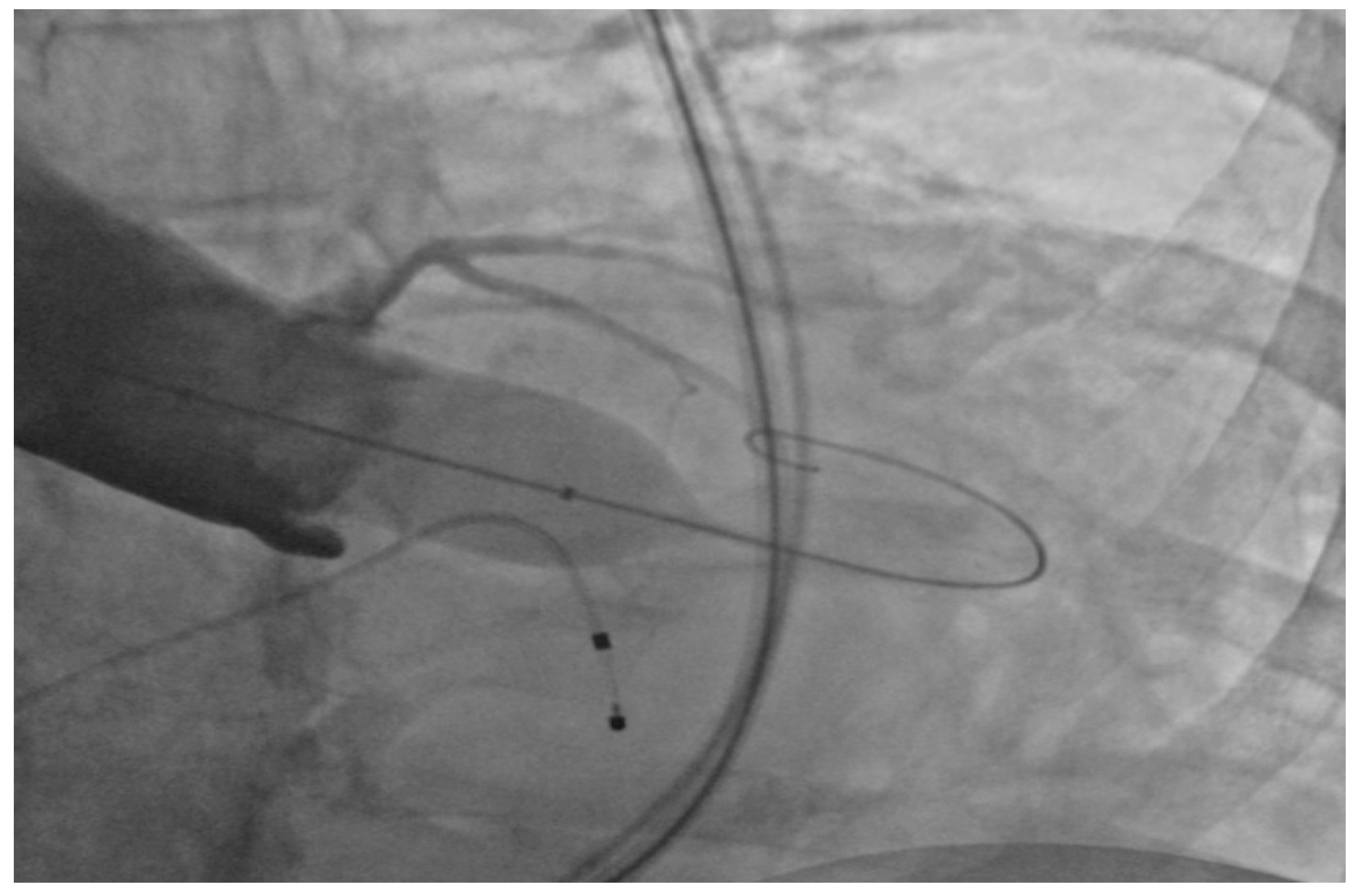 Geriatrics 02 00025 g001