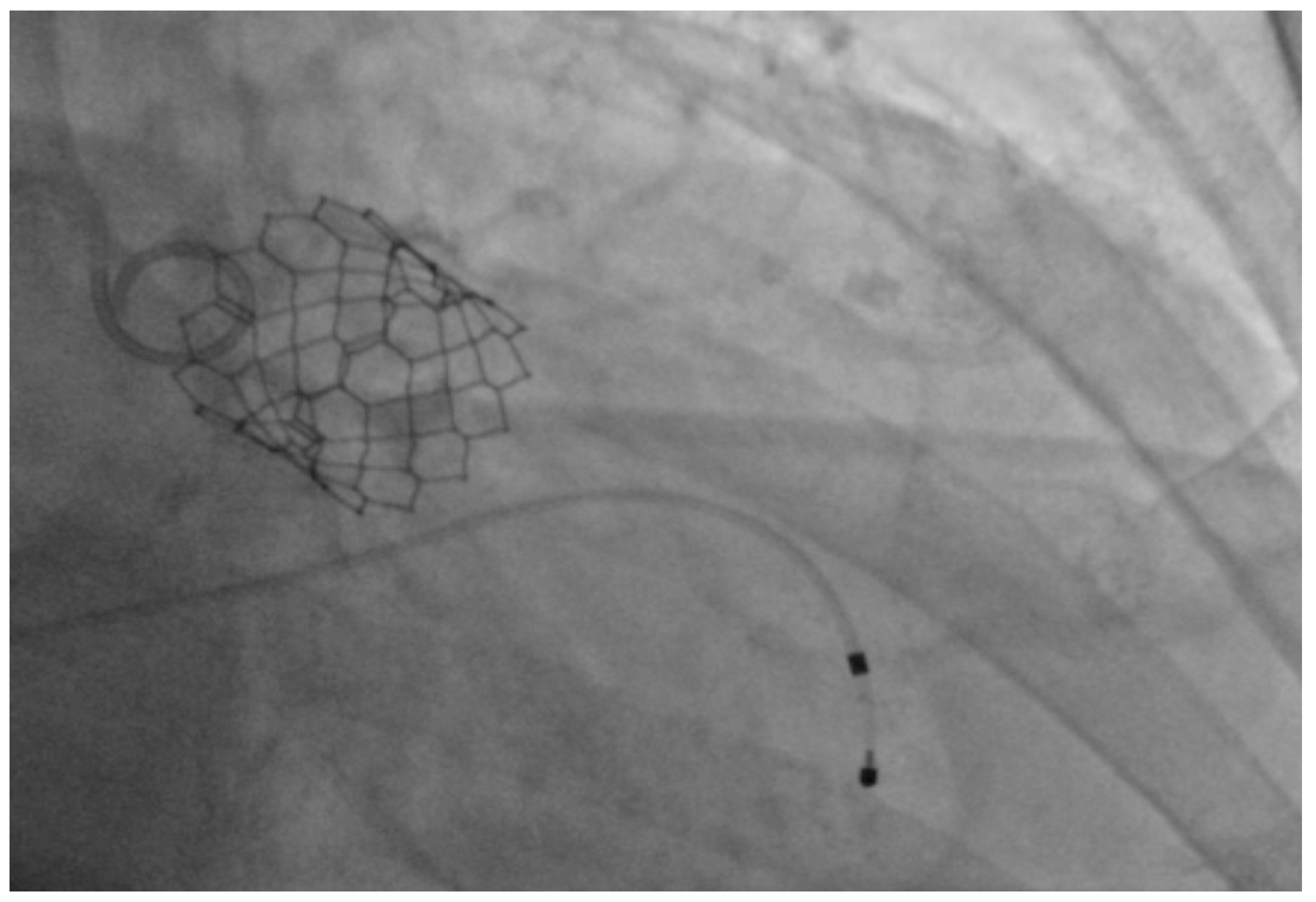 Geriatrics 02 00025 g002