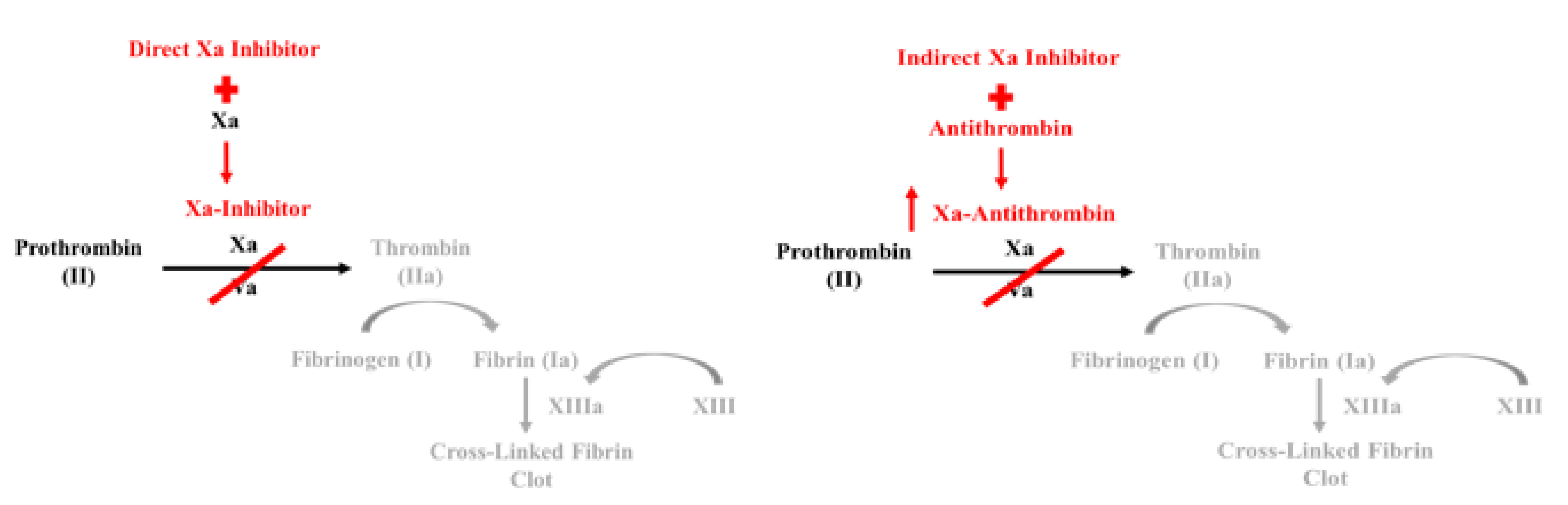 Geriatrics 05 00018 g003