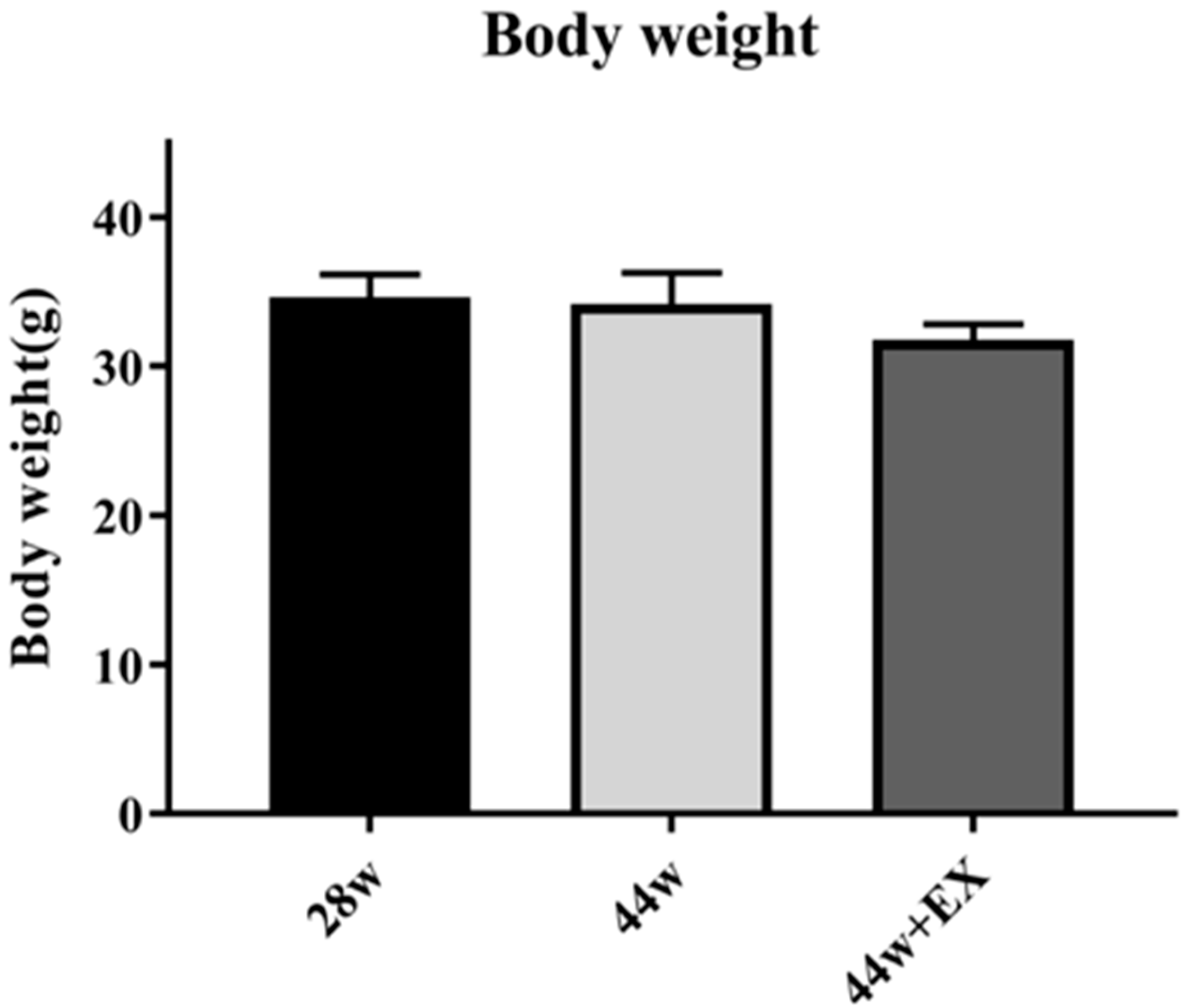 Geriatrics 05 00048 g002