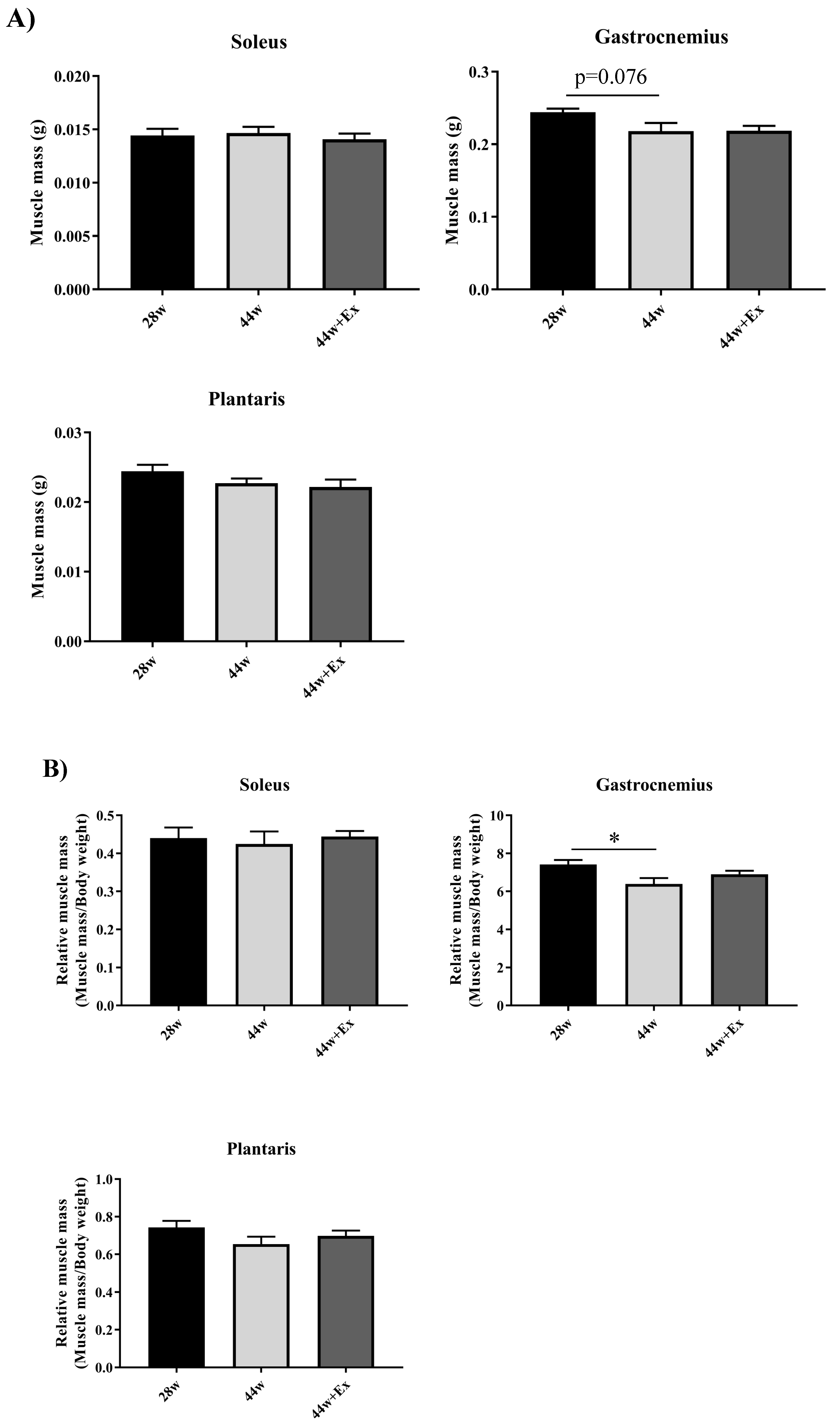 Geriatrics 05 00048 g003a