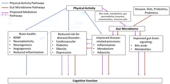 Geriatrics 05 00063 g0a1